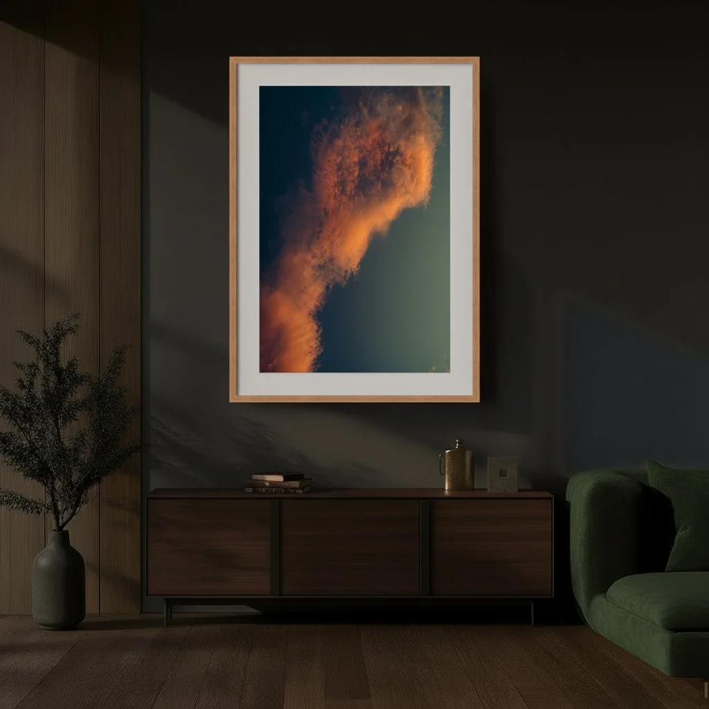 9 - DSC07160 - Dark - Harmonized.jpg