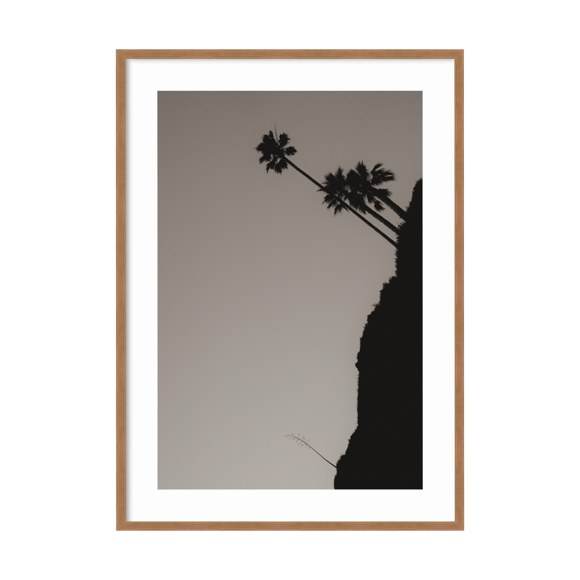 DSC03360 - 2000x2000px - BW.png