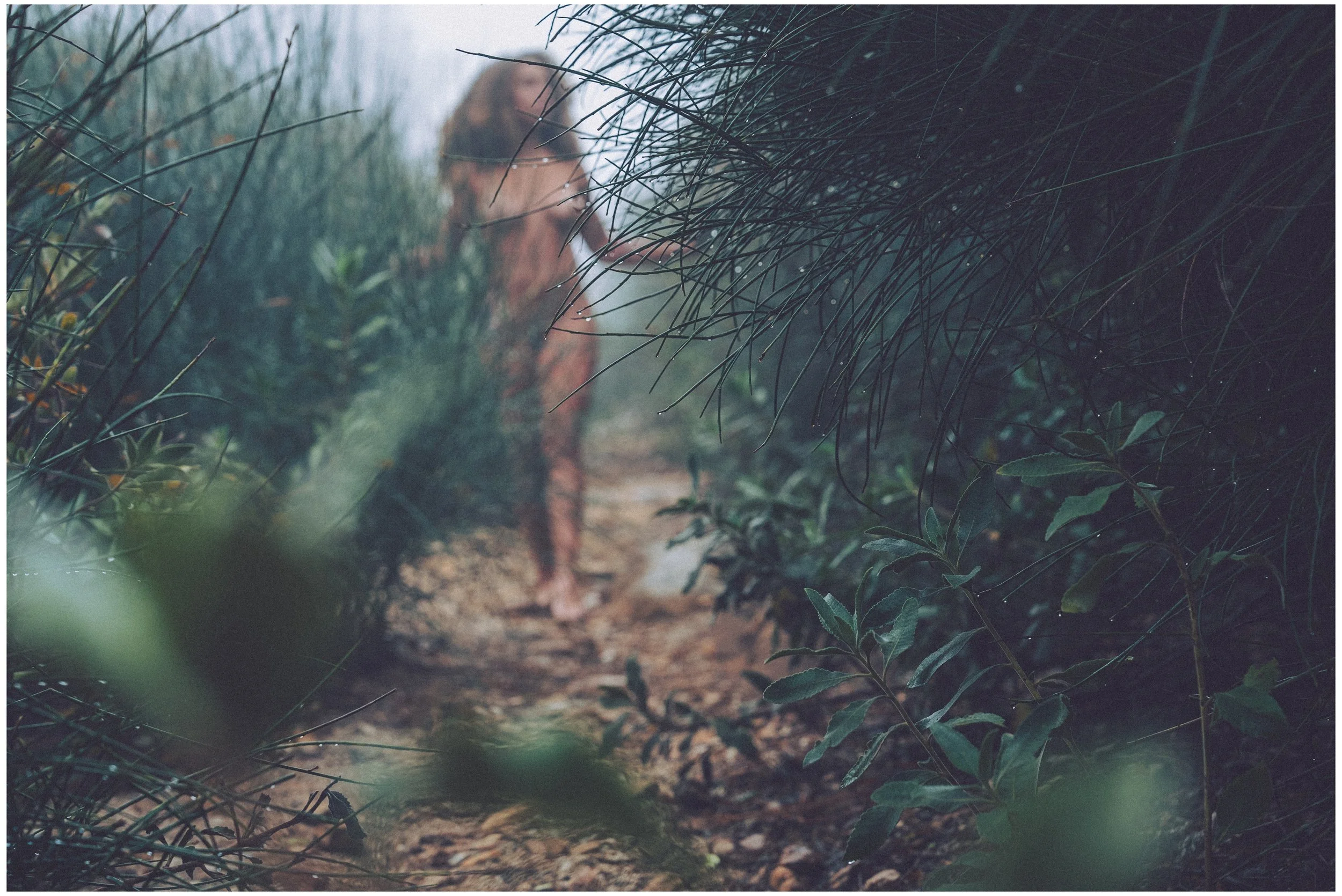 DSC00144 Roofpop Vol1 small frame.jpg