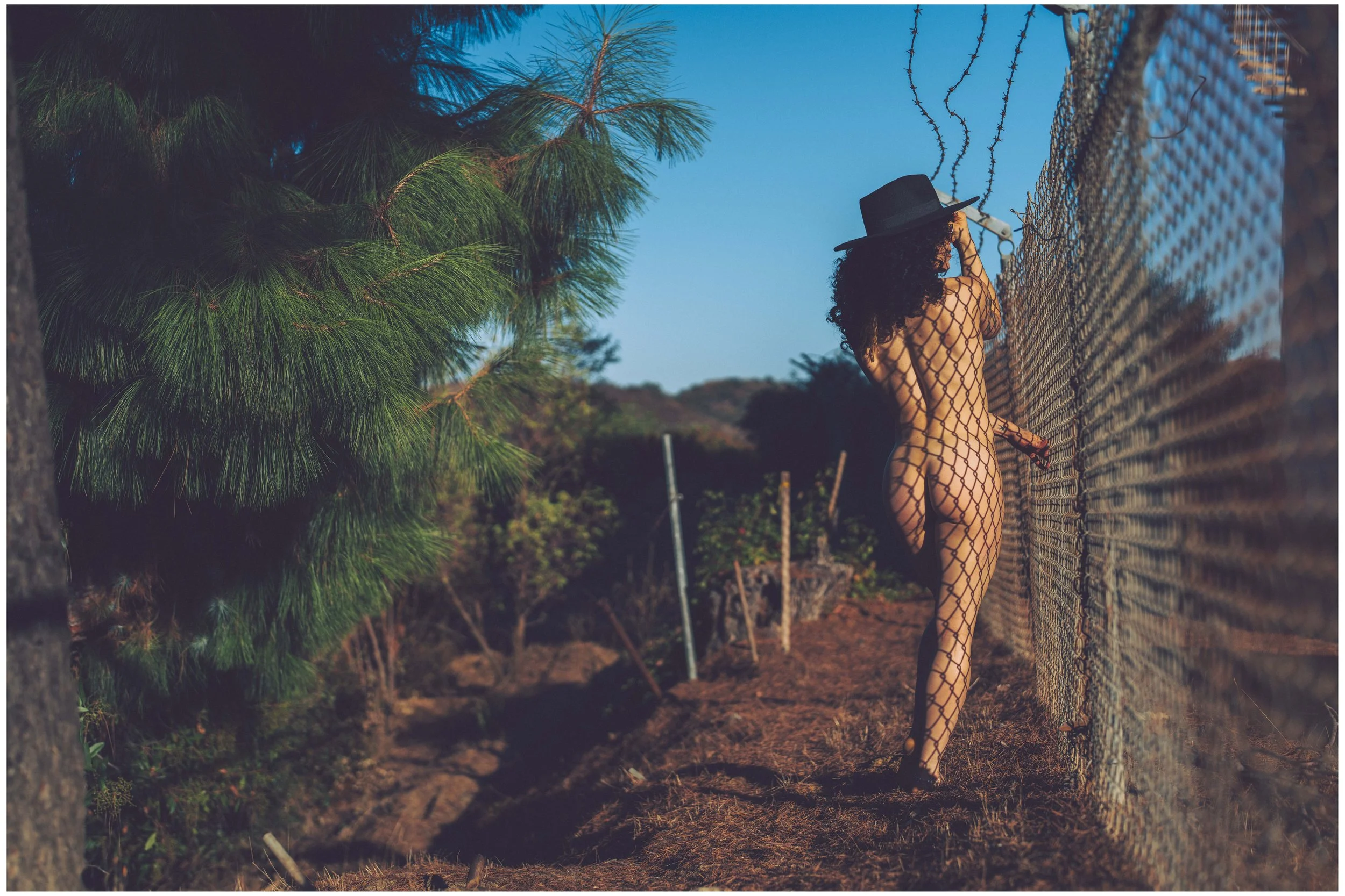 DSC03781 Roofpop Vol1 small frame.jpg