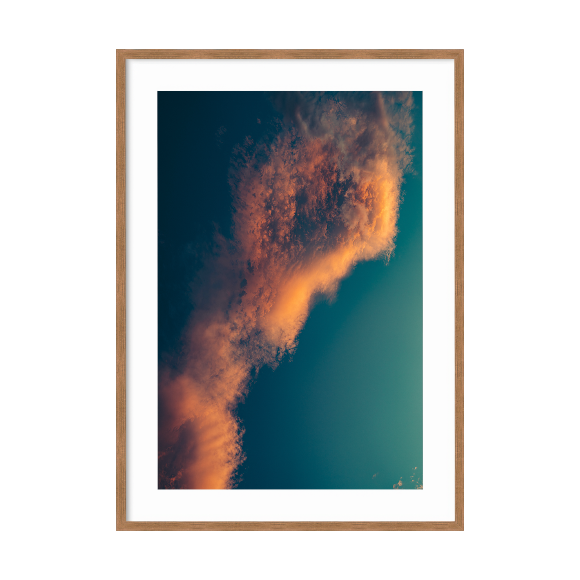 9 - DSC07160 - 2000x2000px.png