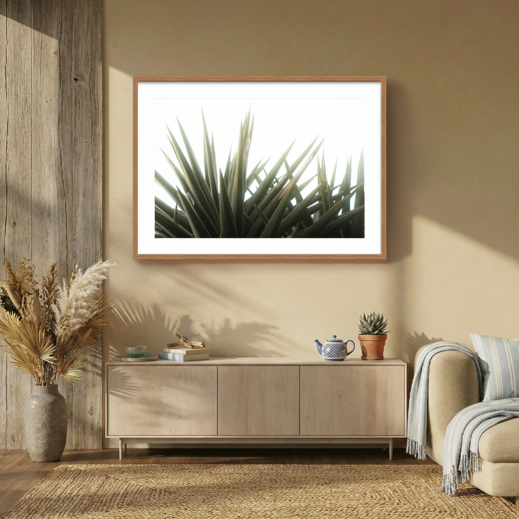 DSC03161 - 1024x1024px - Shizen Room - Color.png