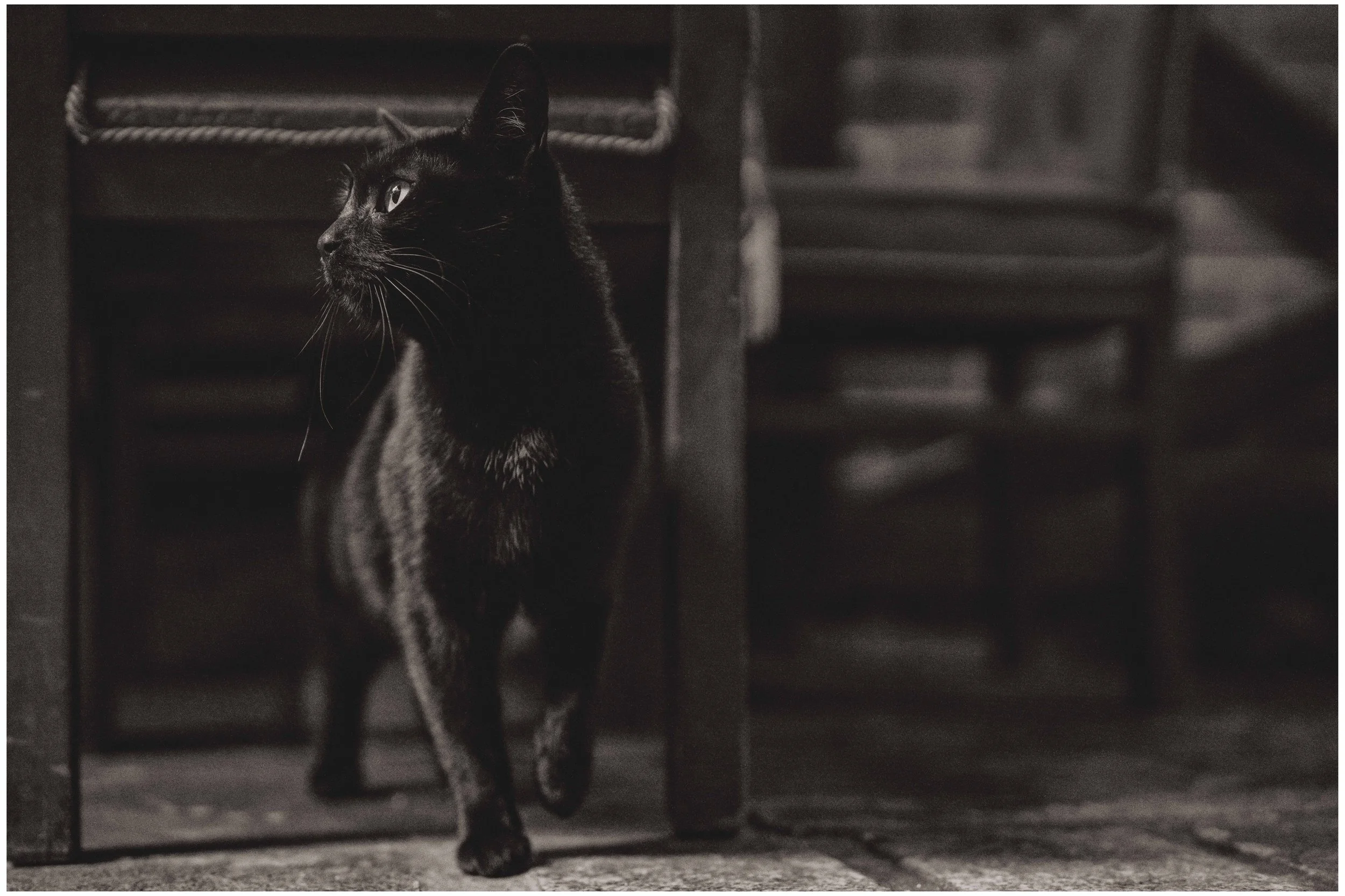 DSC05640 small frame.jpg