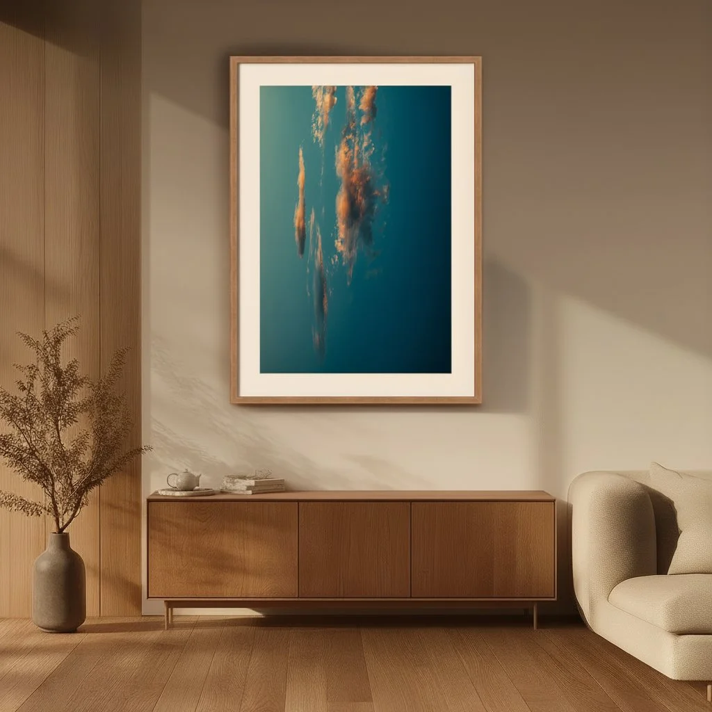 4 - DSC08866 - Light - Harmonized.jpg