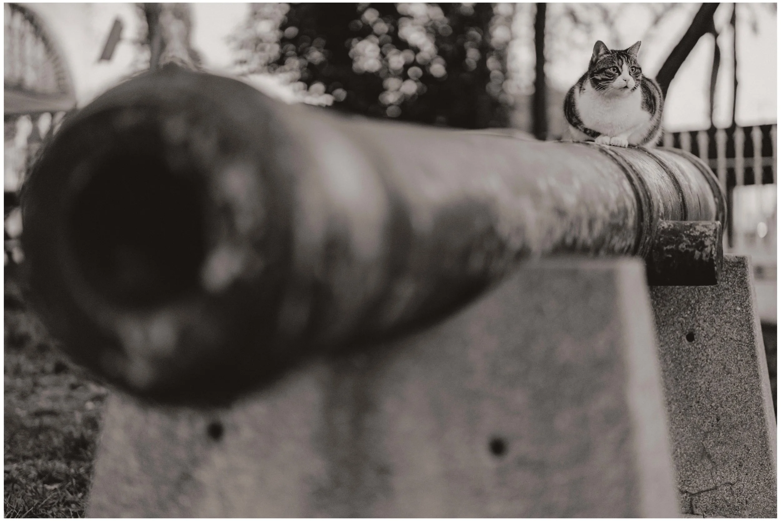 DSC06037 small frame.jpg