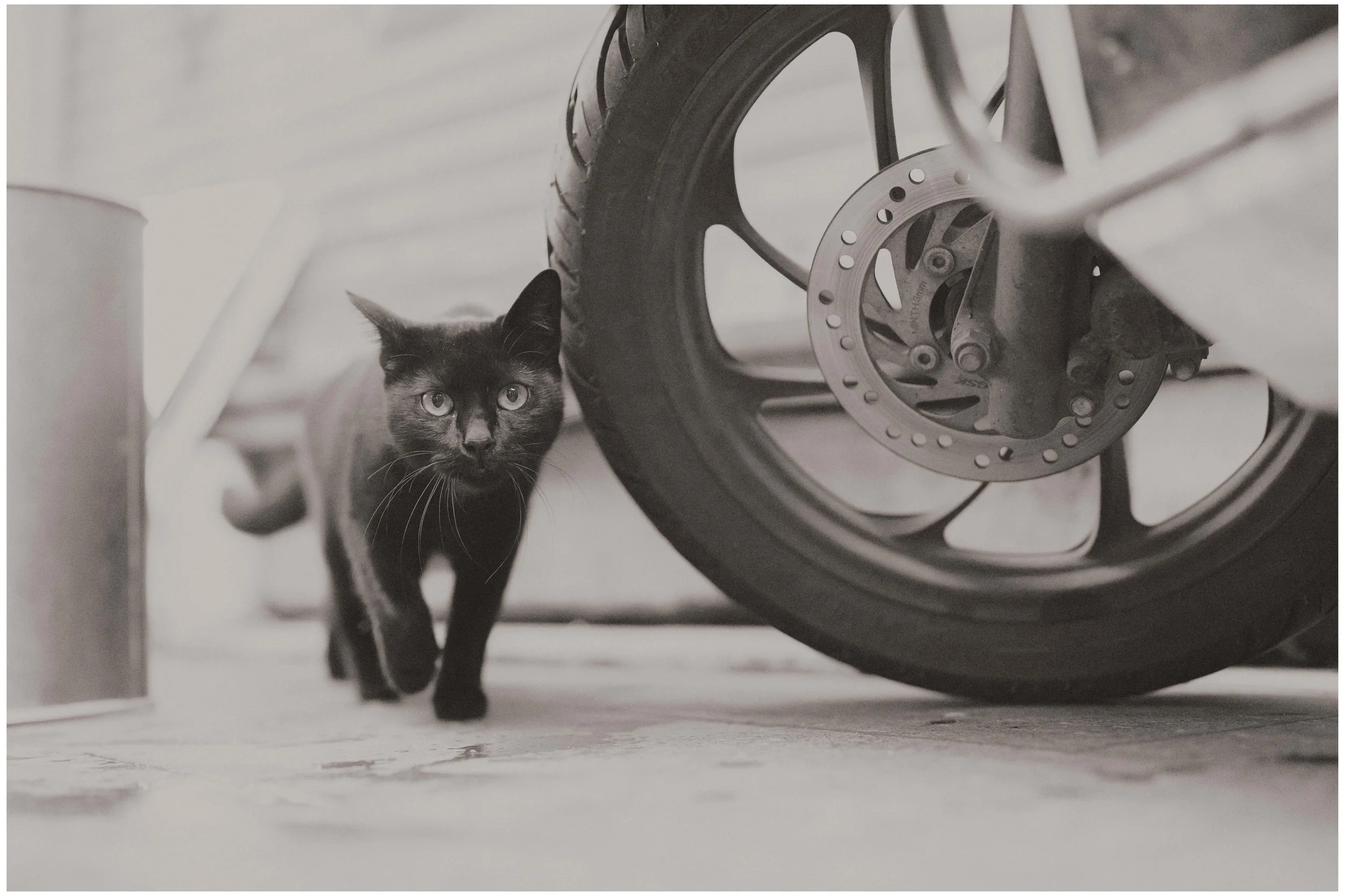 DSC05647 small frame.jpg