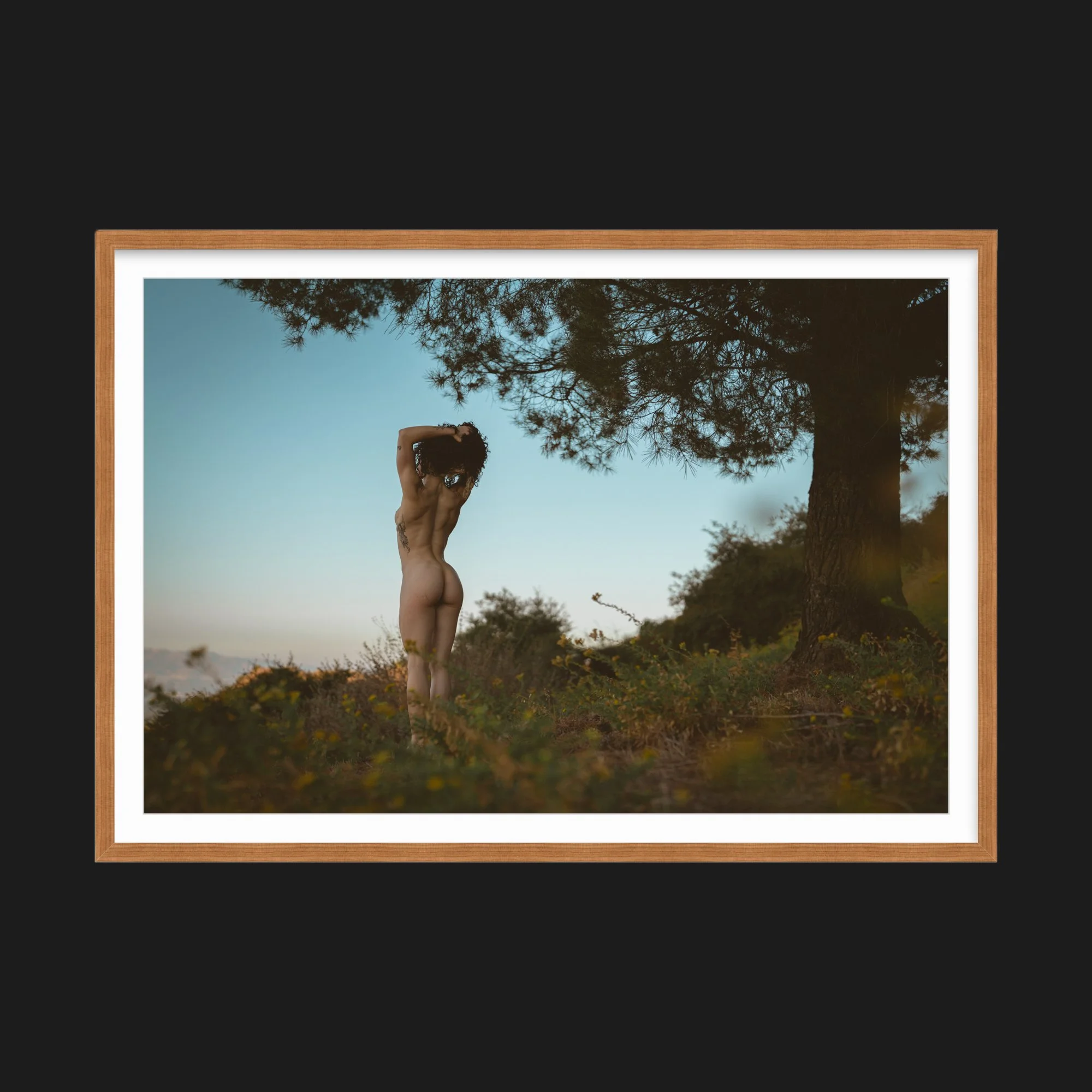 DSC04100 - 2000x2000 Pixel Square - 1474 x 982 Image.jpg