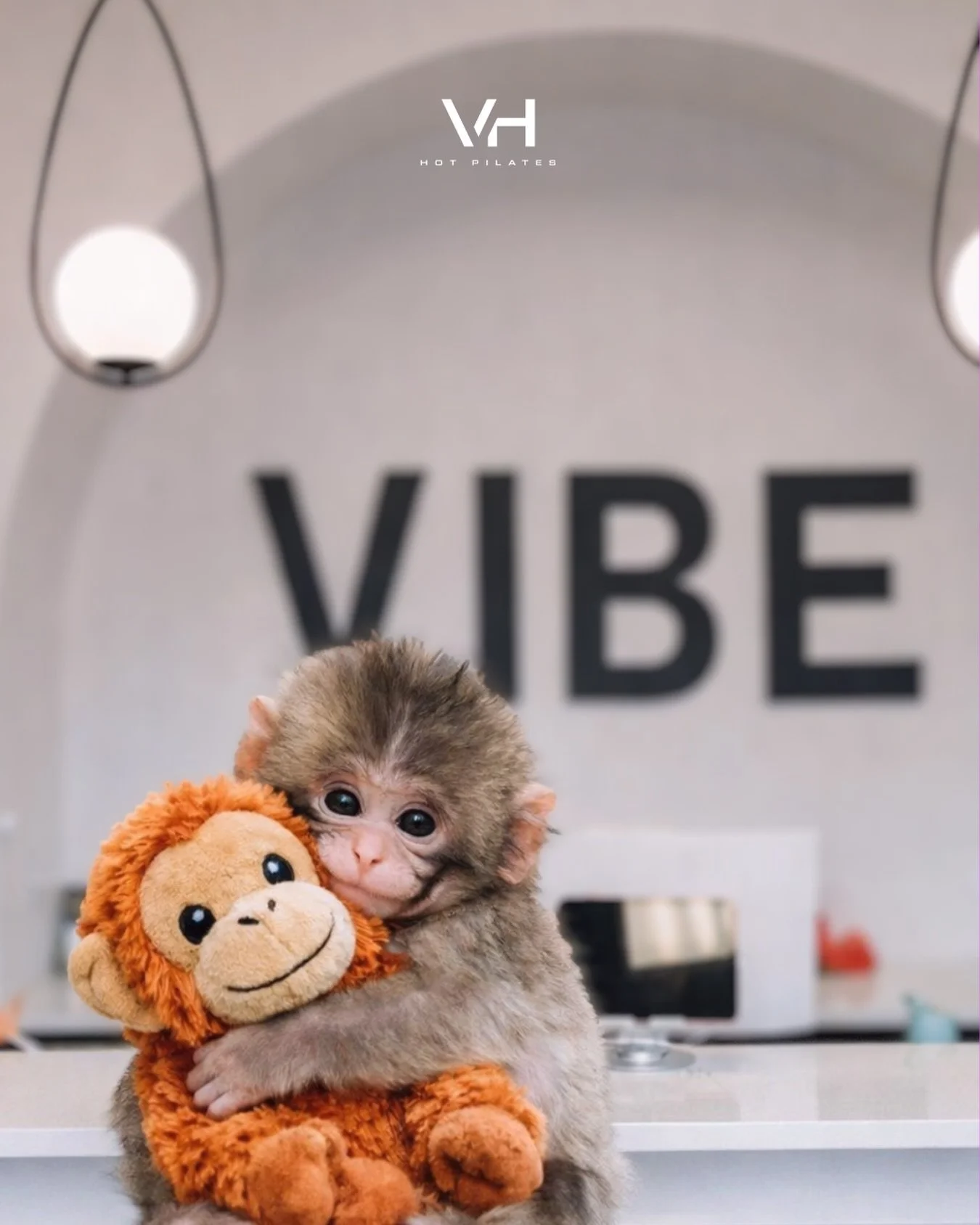 We ride at dawn for punch🥺💕