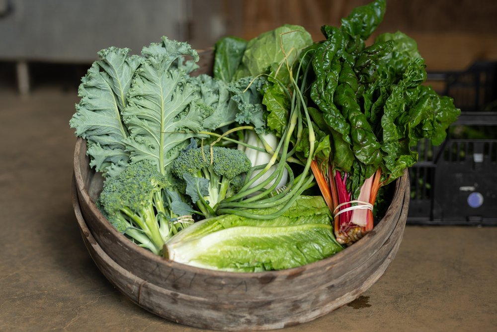Our Csa One Straw Farm