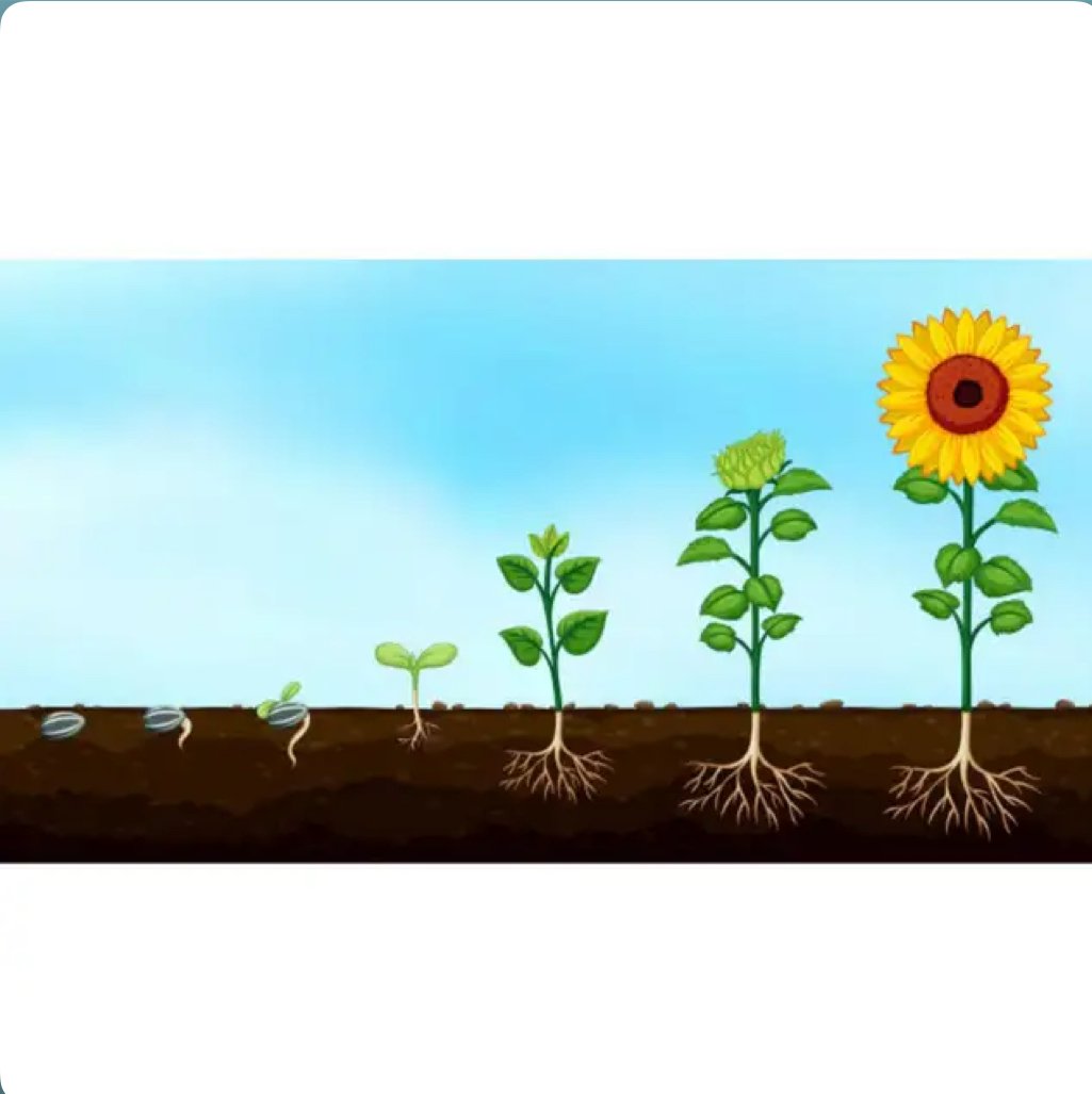 I've Got You - Uncle Doug (2022)
Producer