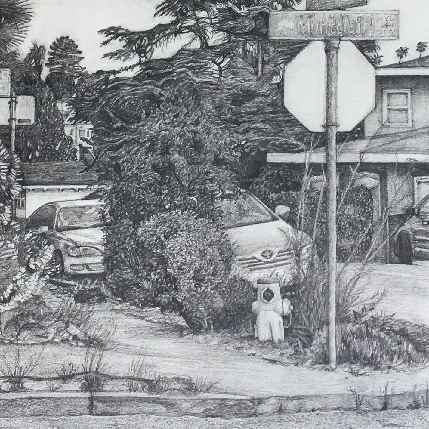 Screen Shot 2024-04-18 at 3.16.43 PM.png