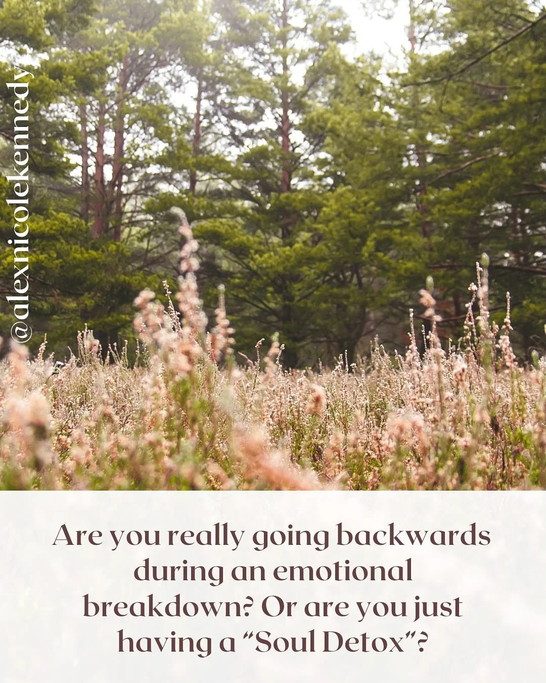 A little big sis tough love for you today.🤎 Which one did you need to hear?
.
.
#Mindset #mindsetwork #selfawareness #selfcompassion #selfconfidence #selfbelief #selfworth #selfacceptance #selfcontrol #selfmastery #perfectionism #personalgrowth #sel