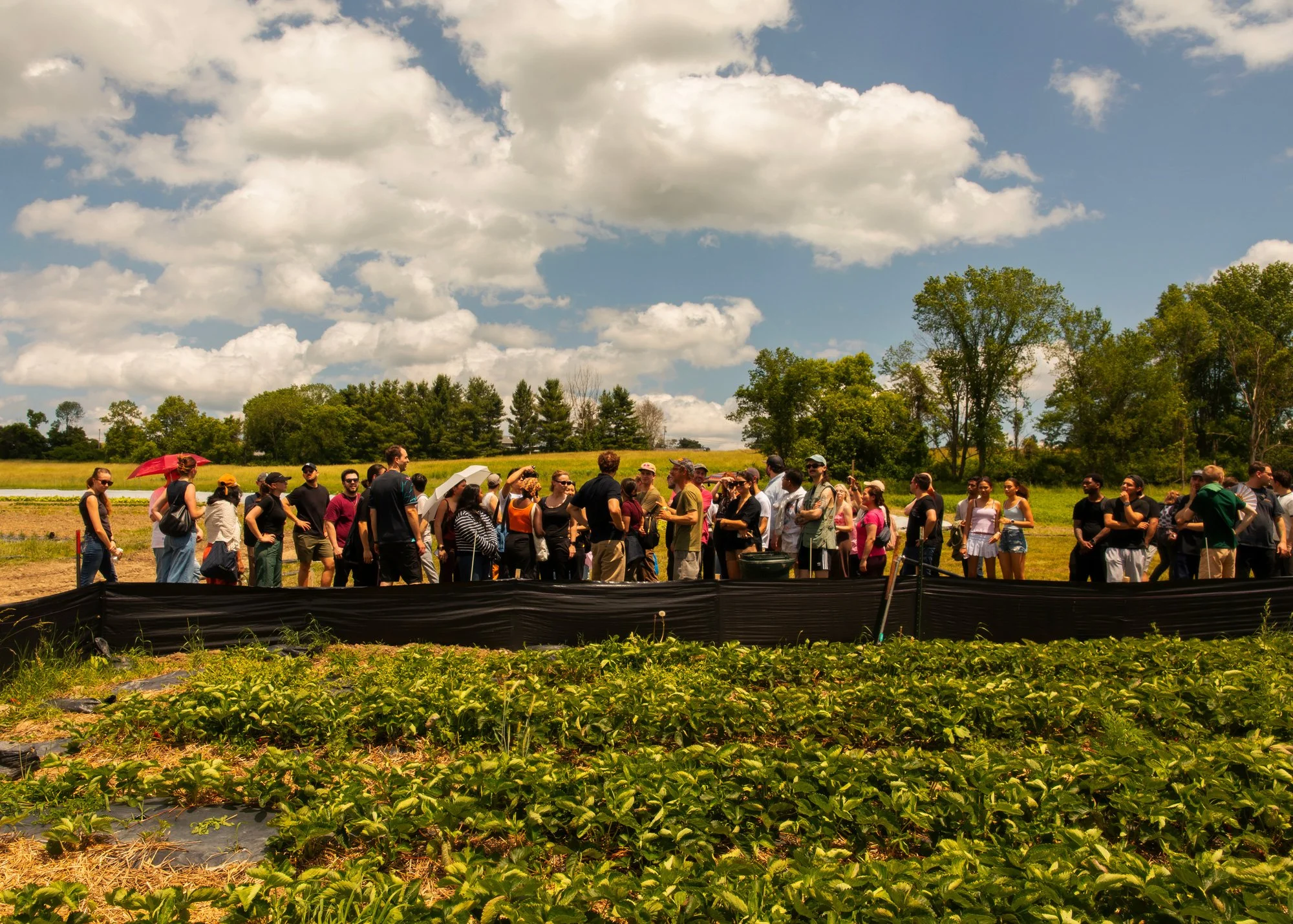 LMandel_EMP_MagicFarm_078.jpg