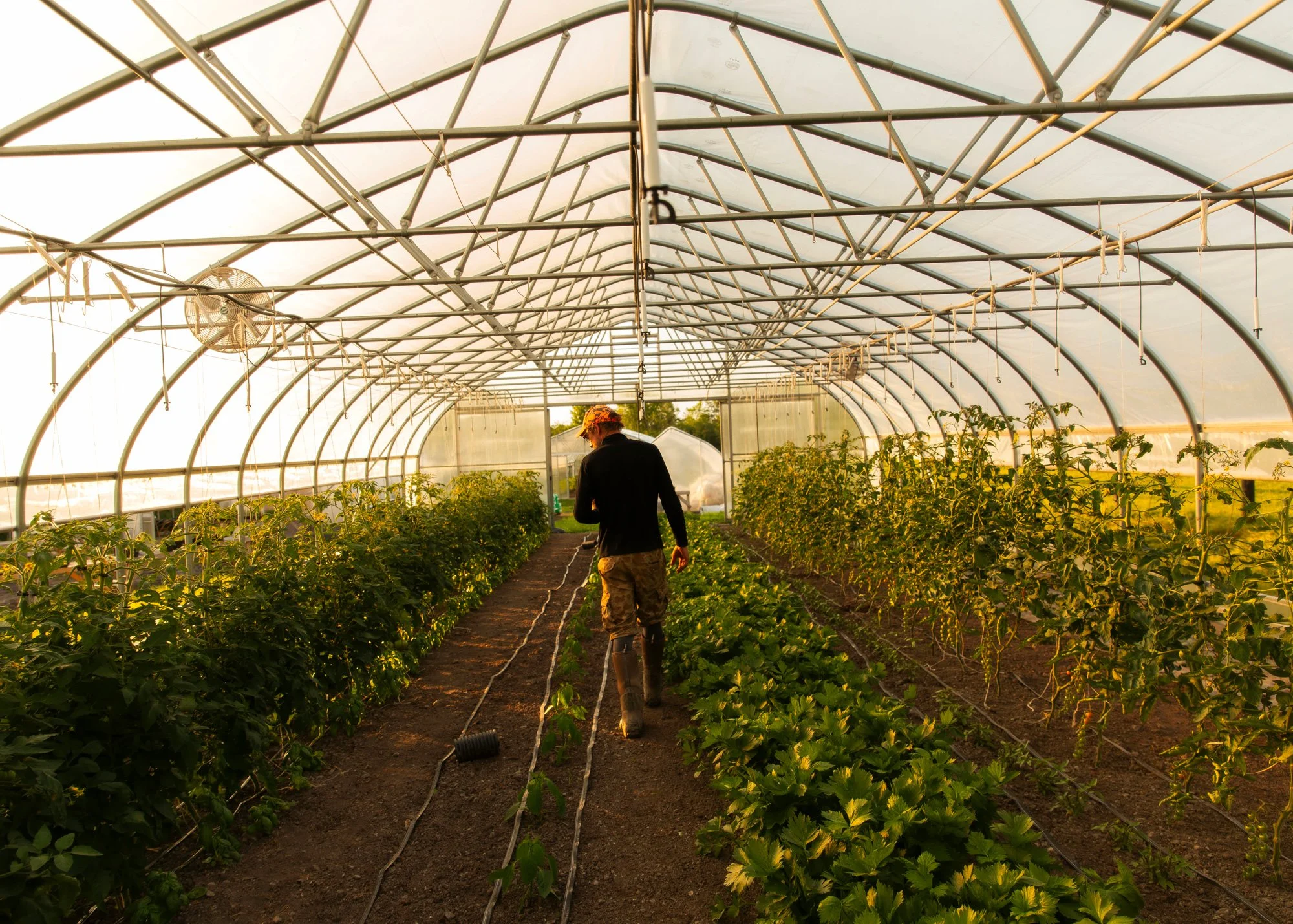 A Day at Magic Farms