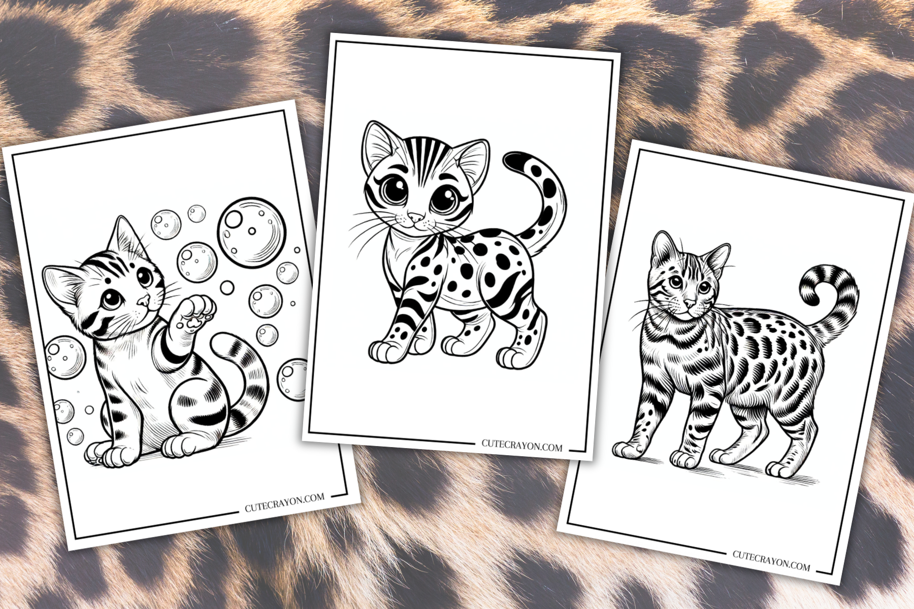 bengal cat coloring pages
