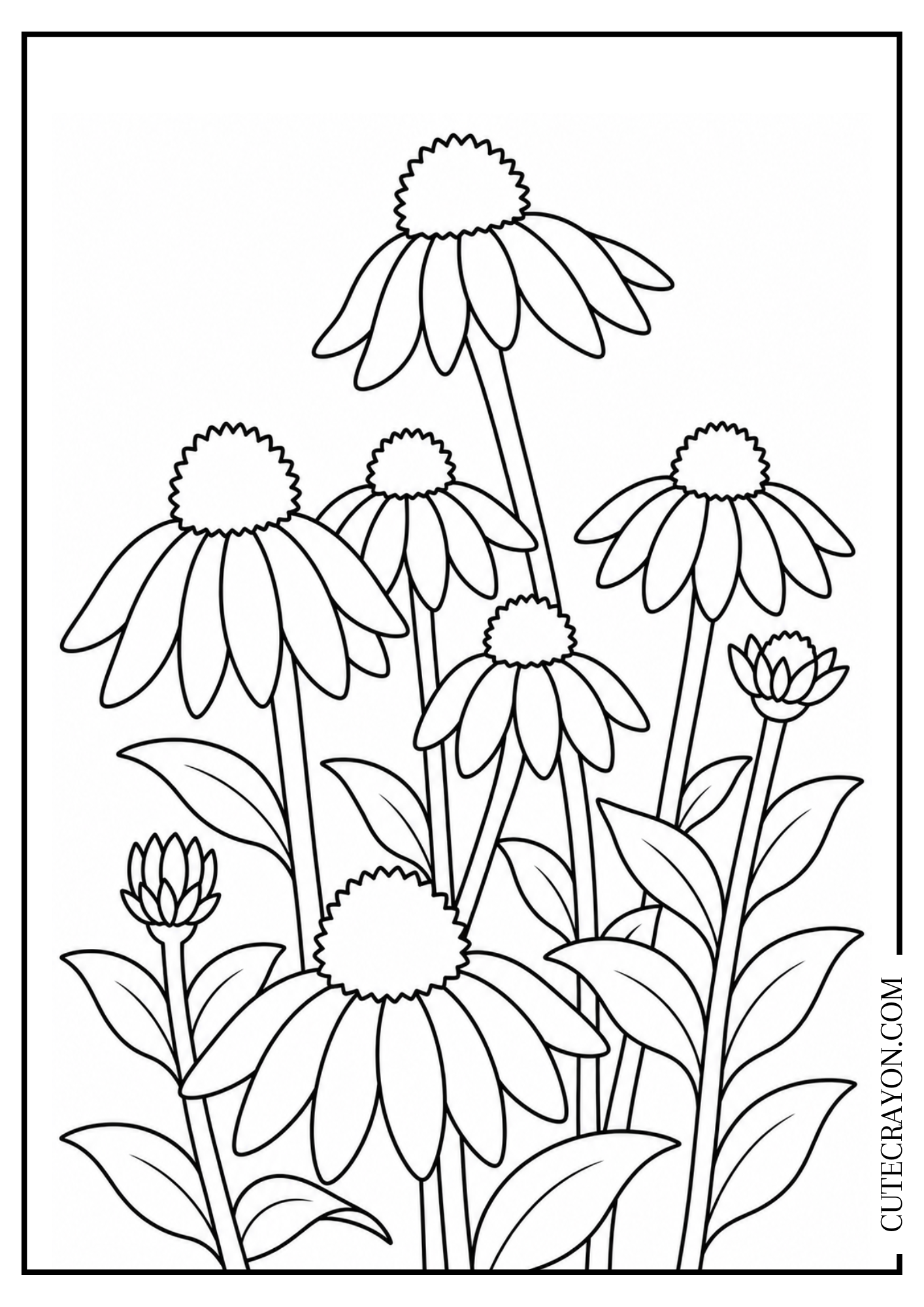 Aesthetic flower coloring page featuring a graceful group of tall coneflowers with leafy stems and small flower buds in a simple black-and-white design.