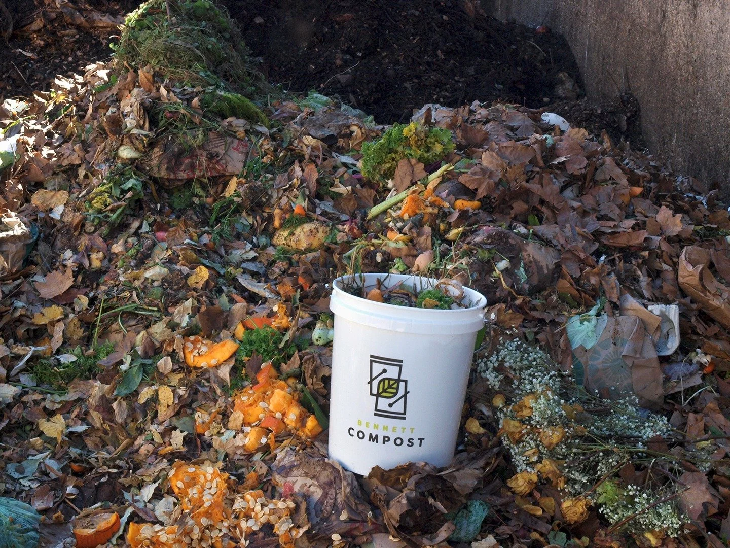 There's so much you can compost in fall, like:
🍁 fall leaves
🎃 #halloween #pumpkins + #gourds
🍬 candy (unwrapped only!)
🌽 cornstalks 
👩‍🌾 garden cleanup
🦃 #Thanksgiving leftovers
🔥 fireplace ashes
There's no better time to start compost