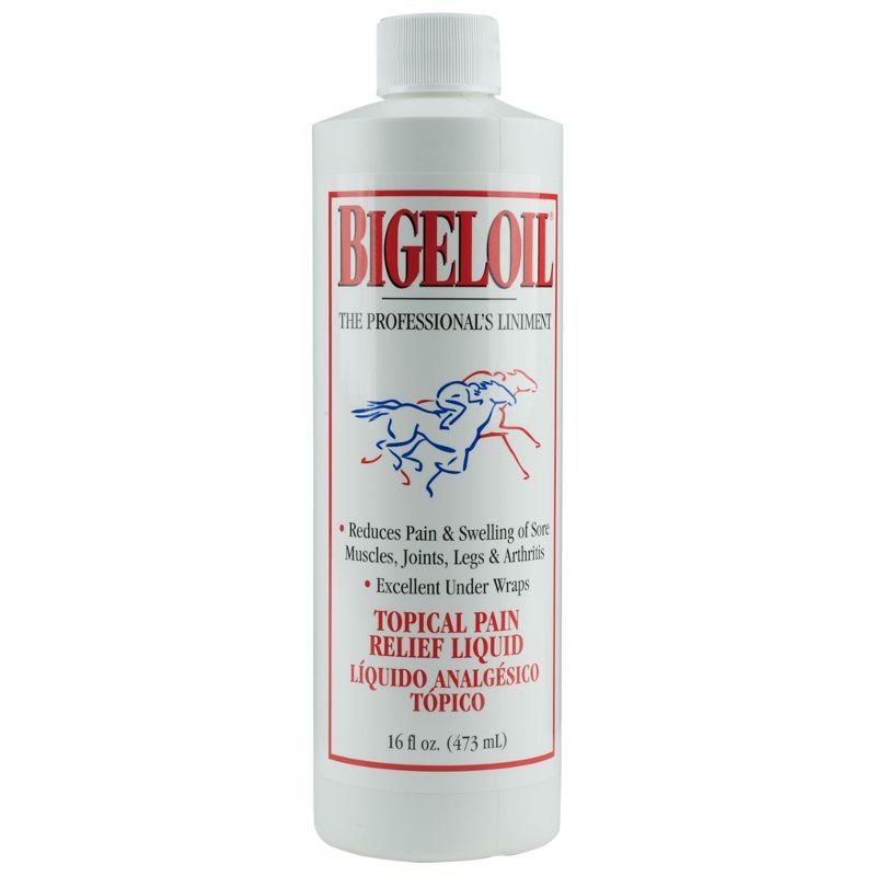 Bigloil .jpg