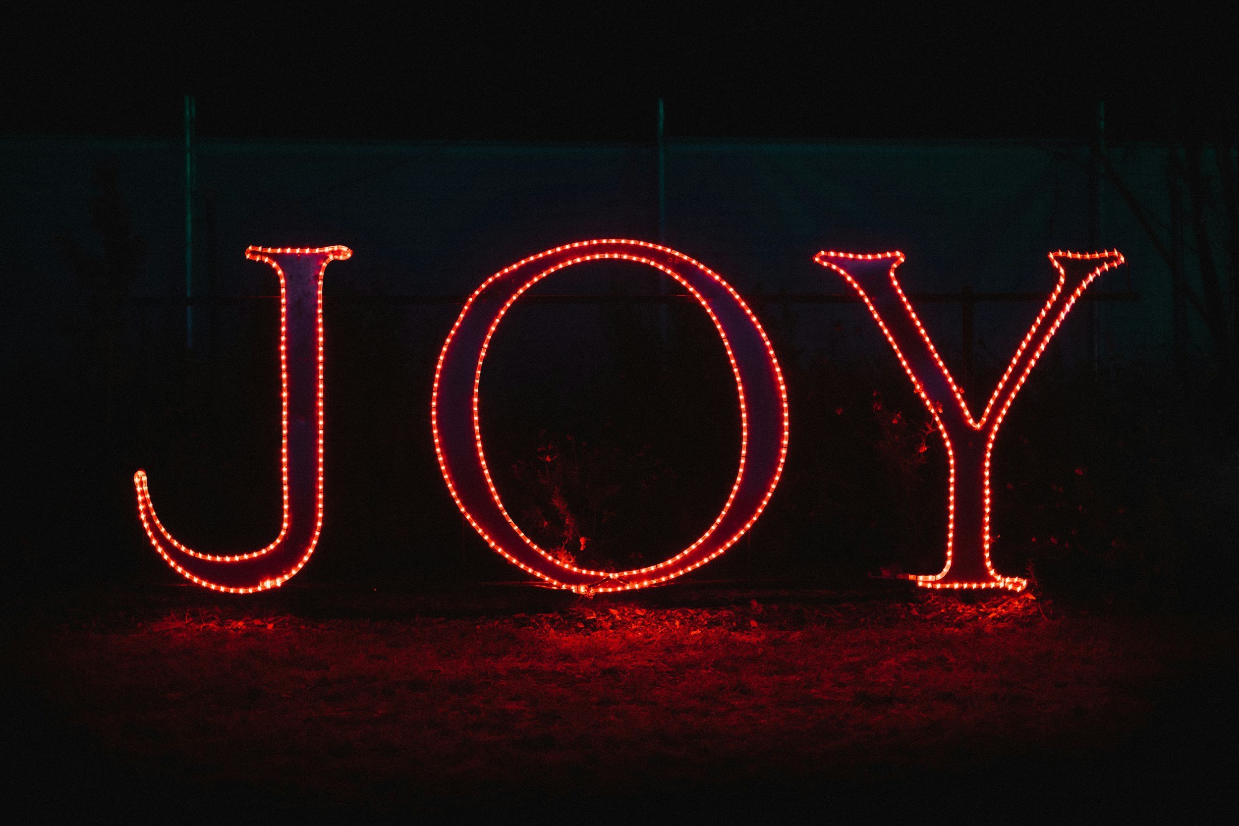 The Fruit of the Spirit: Joy