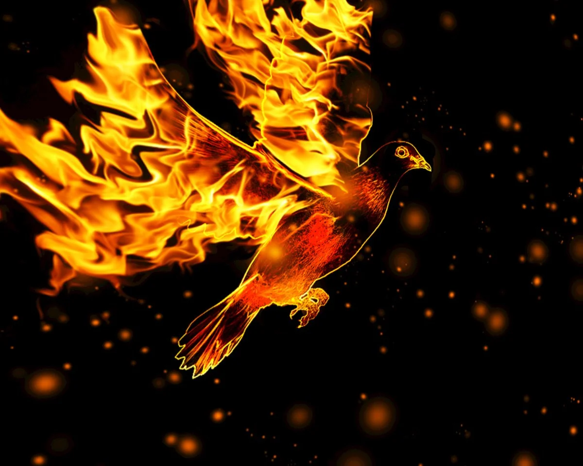 His Fire Changes Everything
