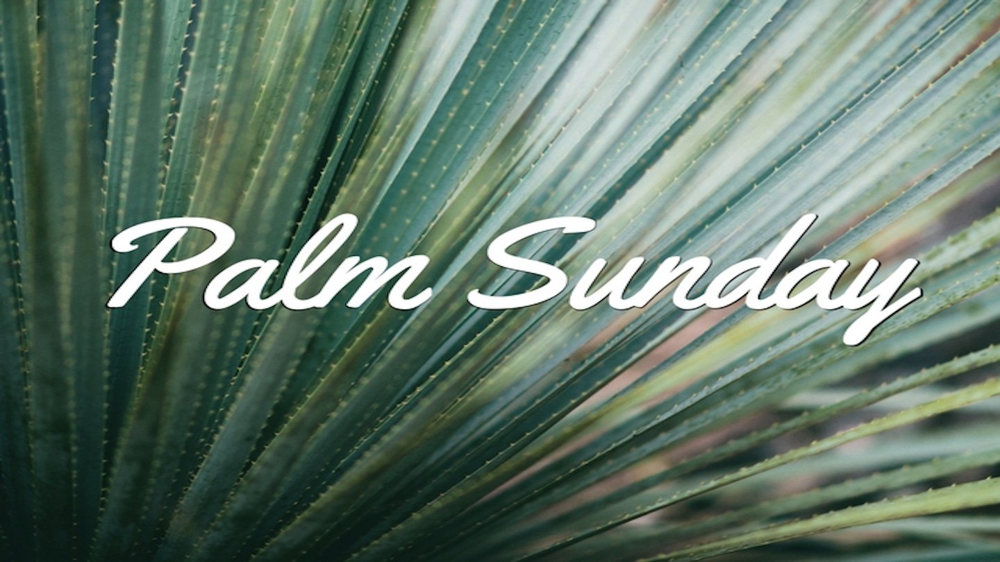 Palm Sunday-Follow with Hope