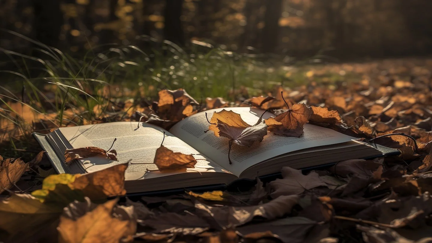 God’s Vision Is Better Than Our Vision