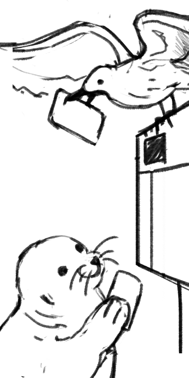 Seal Banner Sketch 
