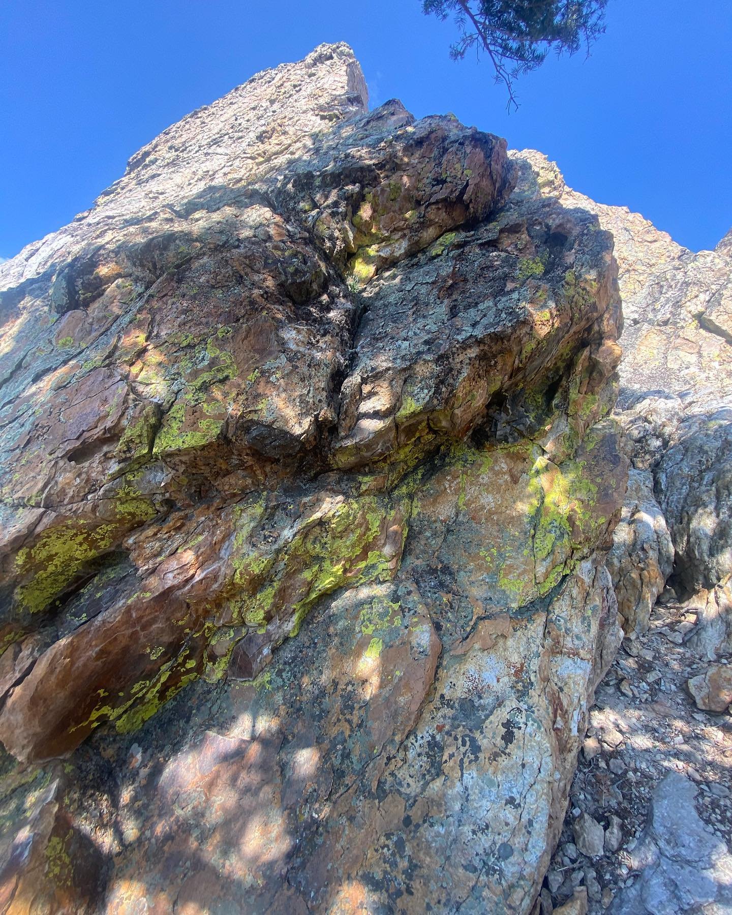Let yoga be your &ldquo;rock&rdquo;, join me on the mat this week. Tuesday 5:45pm and Wednesday 5:45am #meetmeonthemat 🪨🧘🏽&zwj;♀️🧘🏼&zwj;♂️