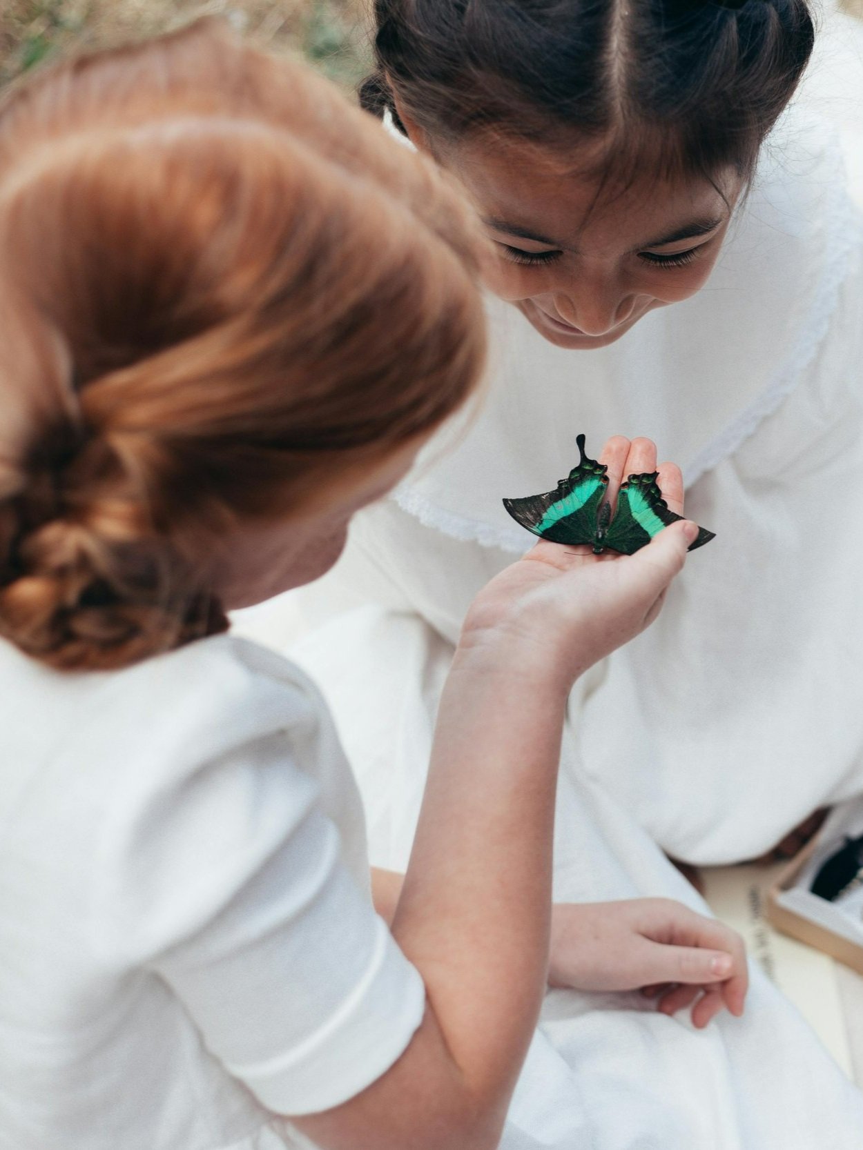 two children examine a black and teal butterfly in their hands