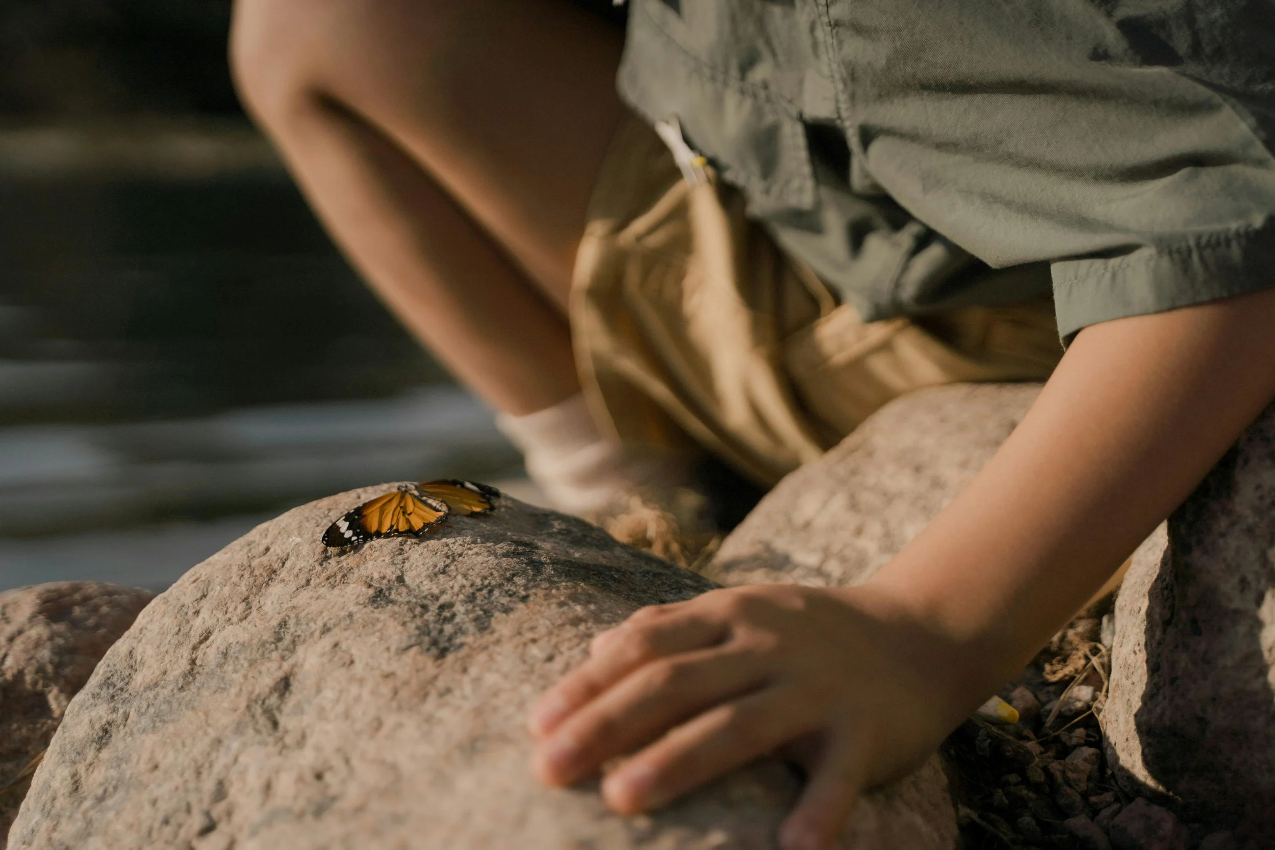 an orange butterfly sits on a rock with a small child crouched next to it