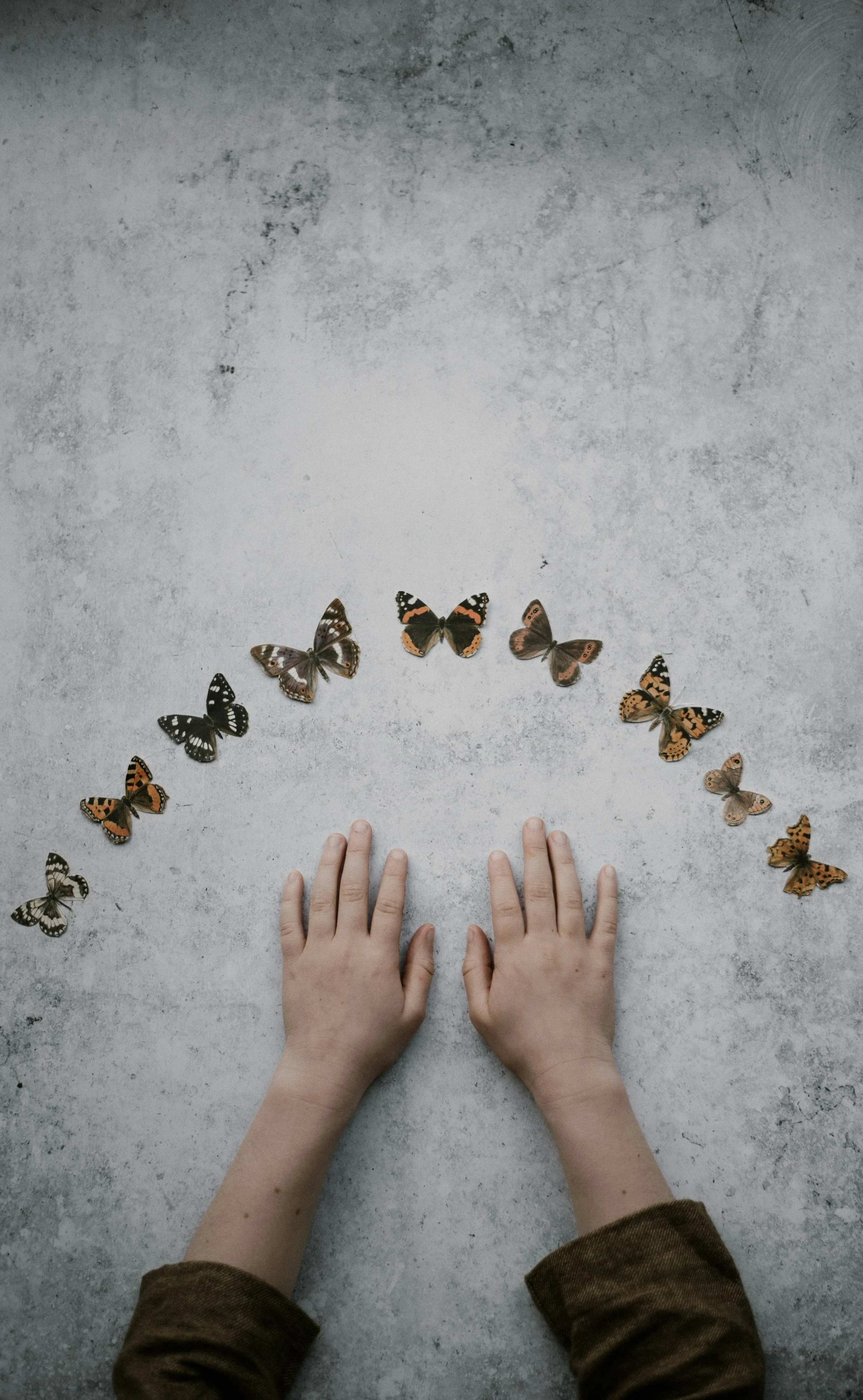 a child's hands under a semi-circle of butterflies