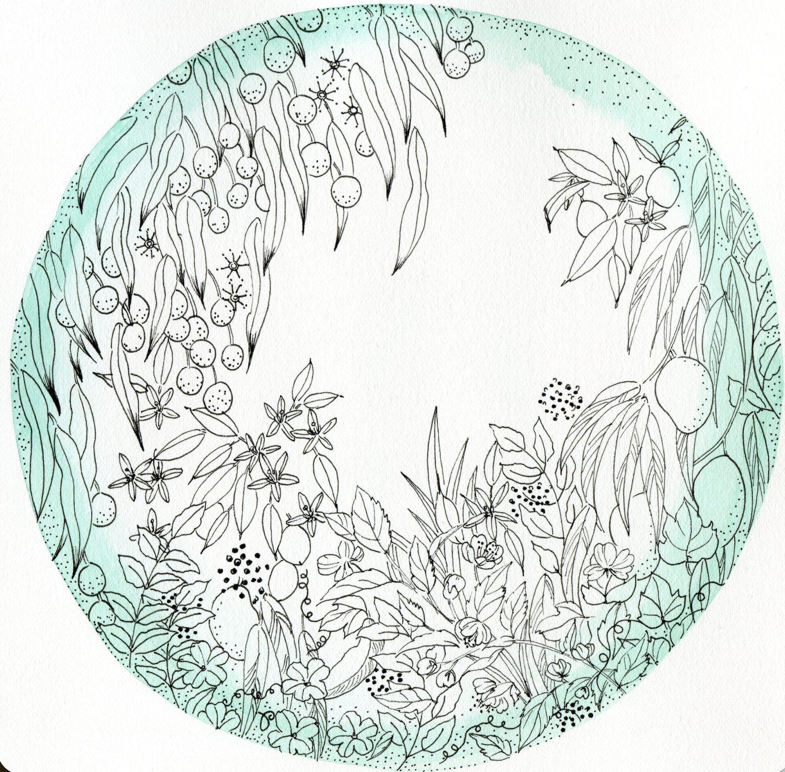 Screenshot 2025-12-20 at 11.52.12 AM.png