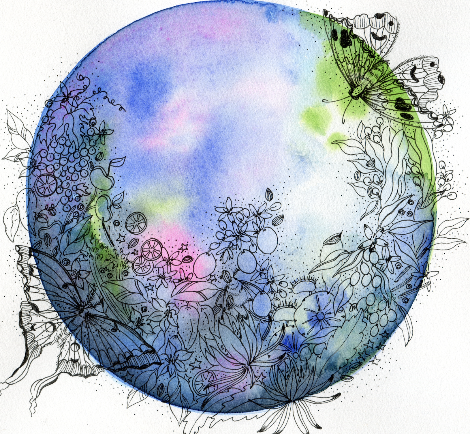 Screenshot 2025-12-20 at 11.51.53 AM.png