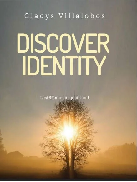 Ebook DISCOVER iDENTITY - Lost&Found in Quail land