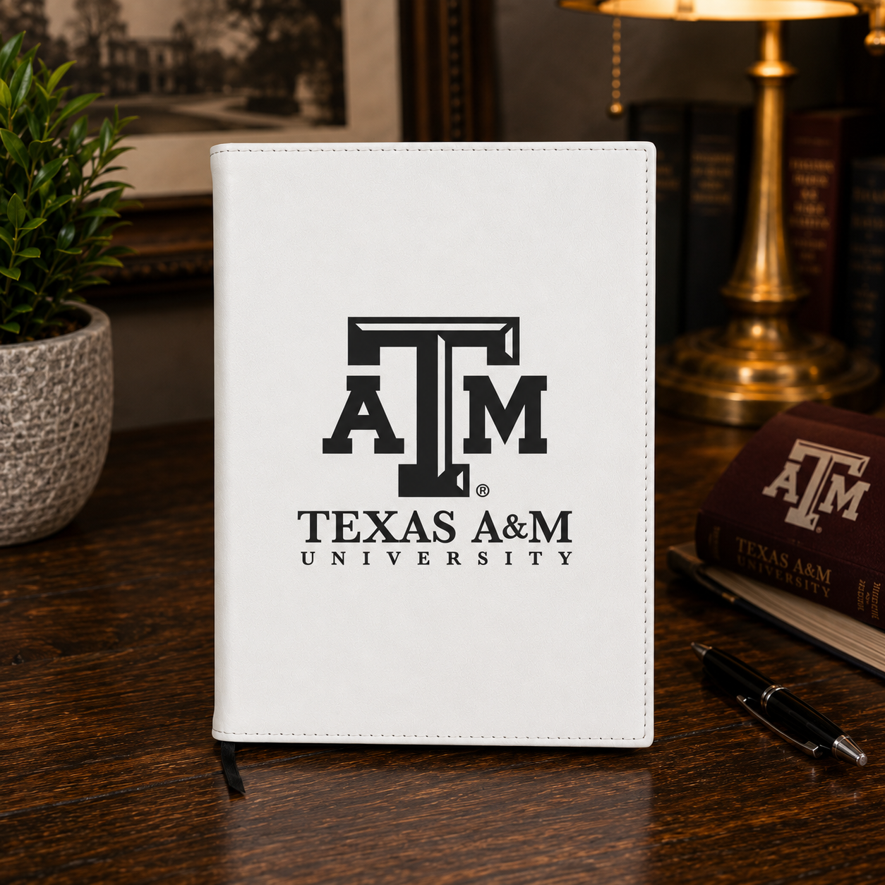 a&m2nb.png