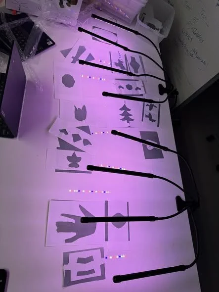 lights.jpg