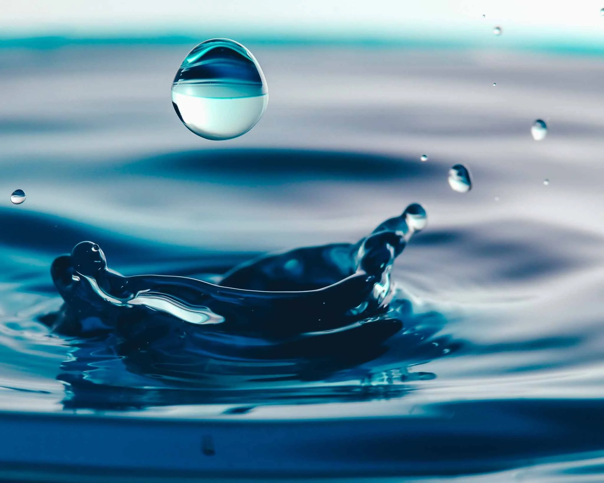 Water, Water Everywhere