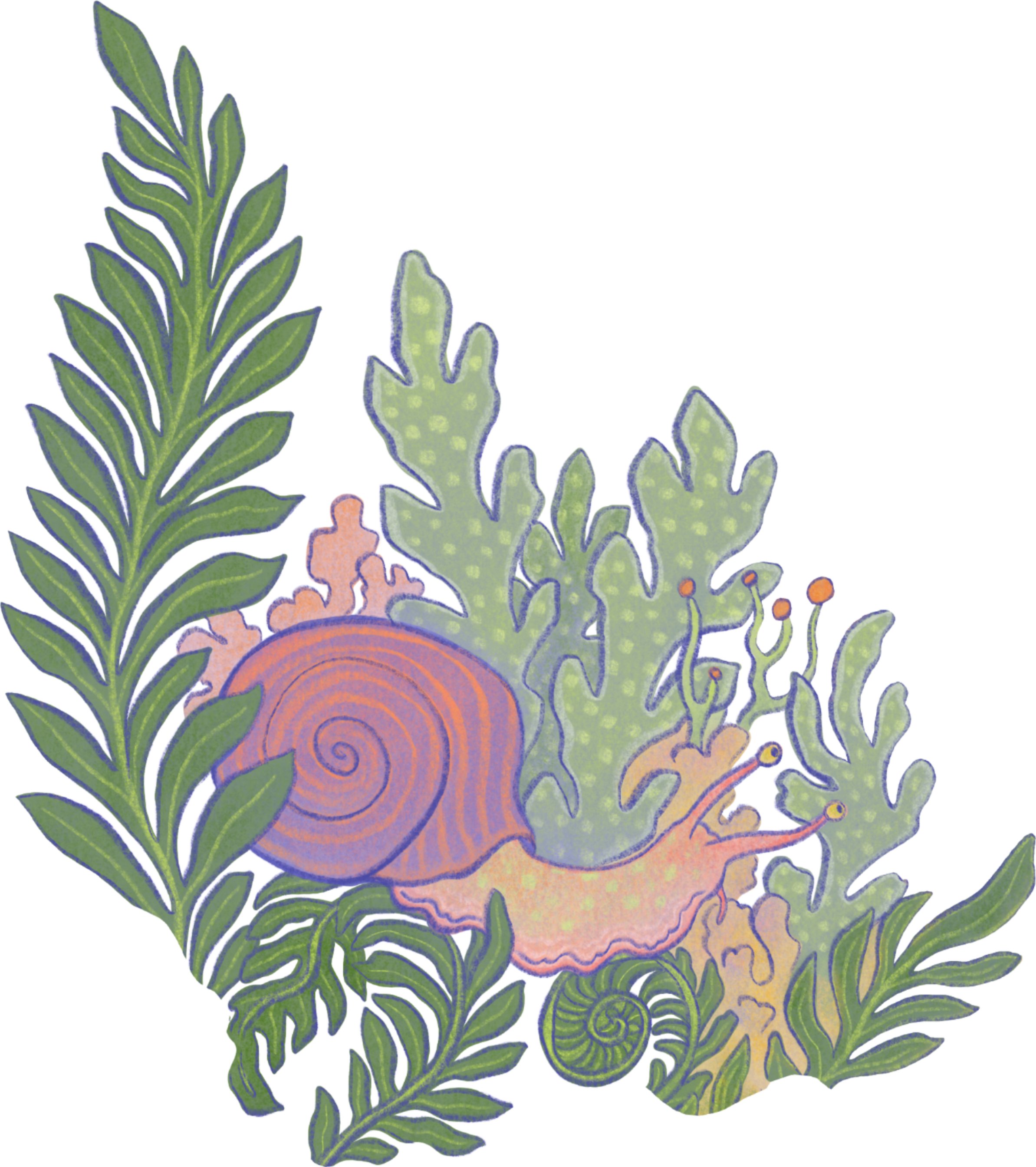 Snail-1.png