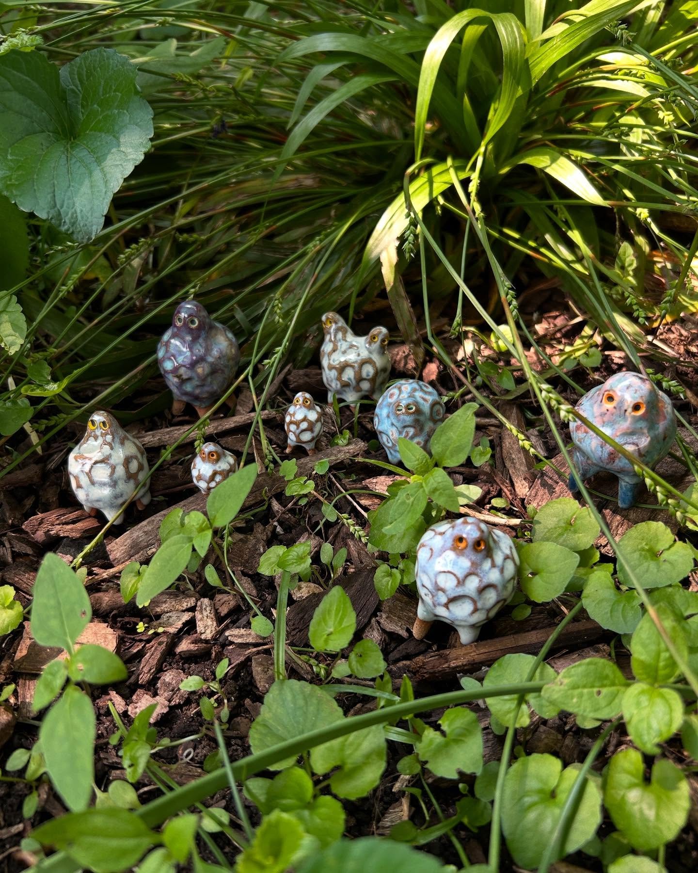 Still in the garden, but back to the Wee Weirdos! This is a small herd of Moonbeans, recently fallen from space (possibly in the wake of the MoonMen? More studies needed to discover the truth!).
.
.
.
.
#ceramic #potteryart #sculpture #potteryshop #c