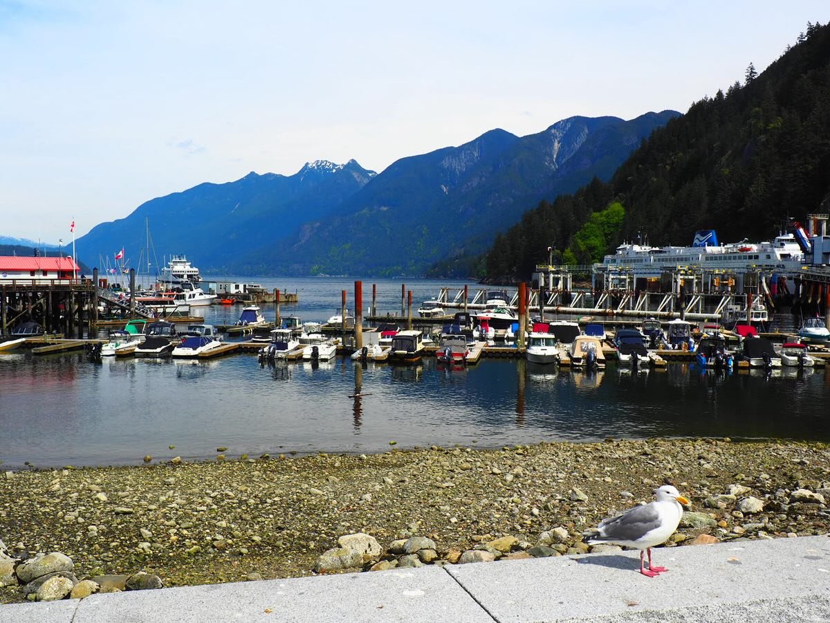To &amp; from Bowen Island, horizontal edition! It&rsquo;s so amazing to me that this gorgeous (and STEEP) island is accessible from downtown Vancouver via city bus + a $12 ferry ride, no car needed (tho you do need to be cool with some major stair c