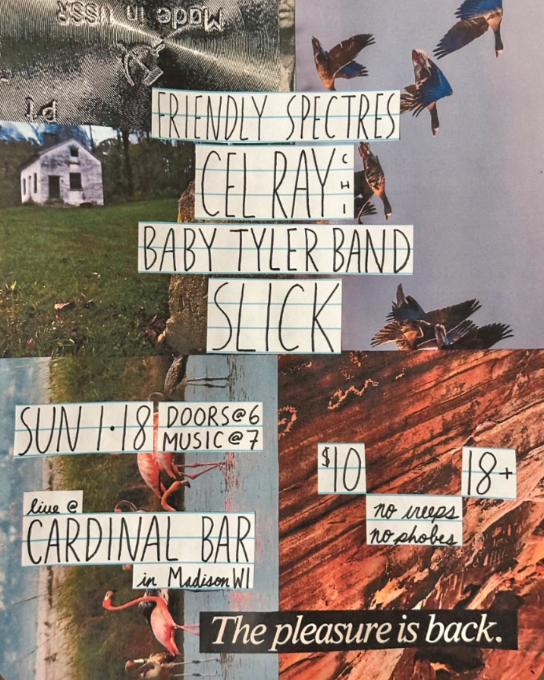 The Bird's Nest Presents: