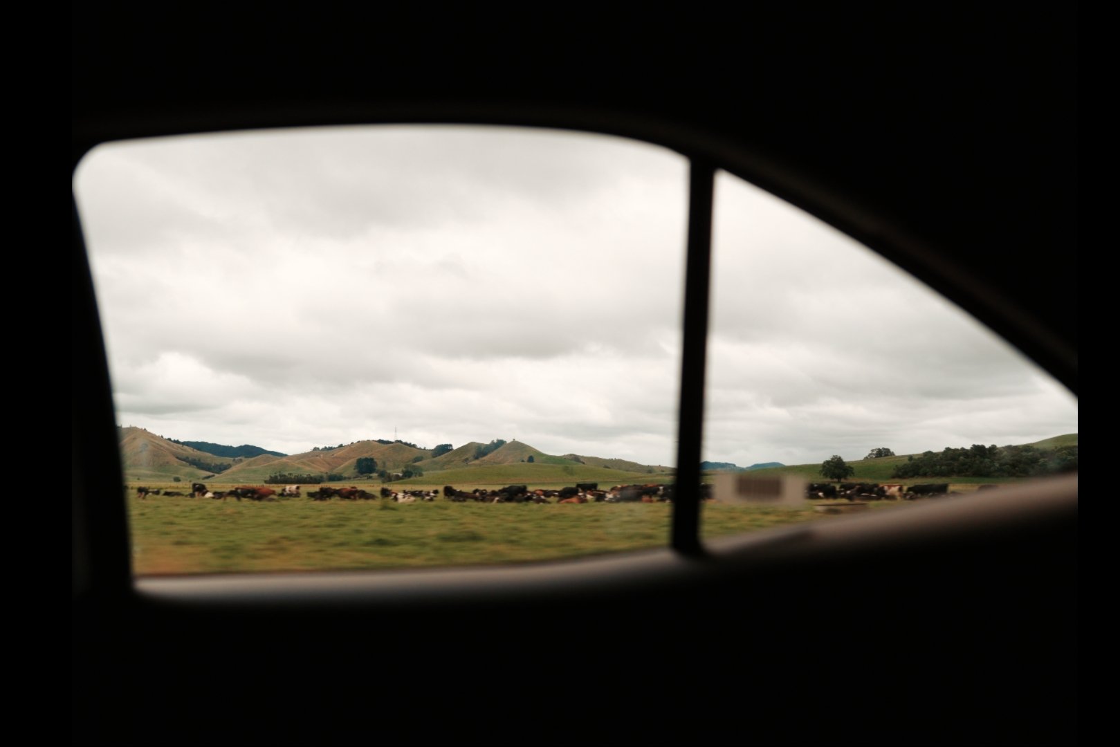 NZ RW 5.jpg