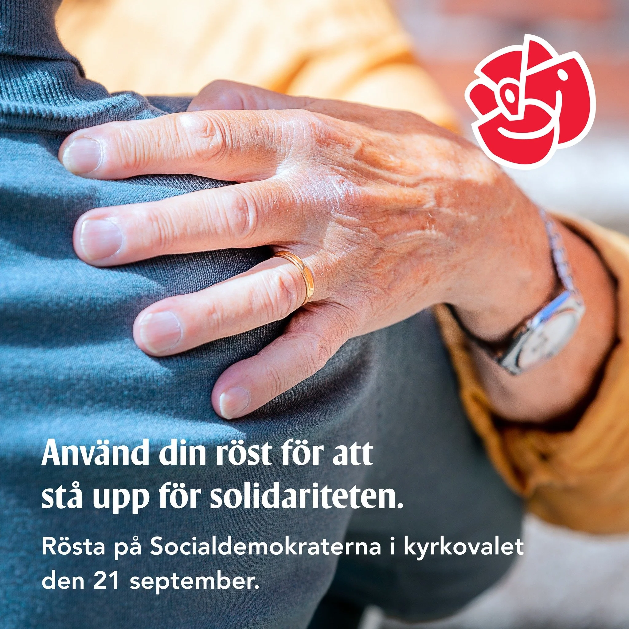 Din r&ouml;st spelar roll. Anv&auml;nd den.