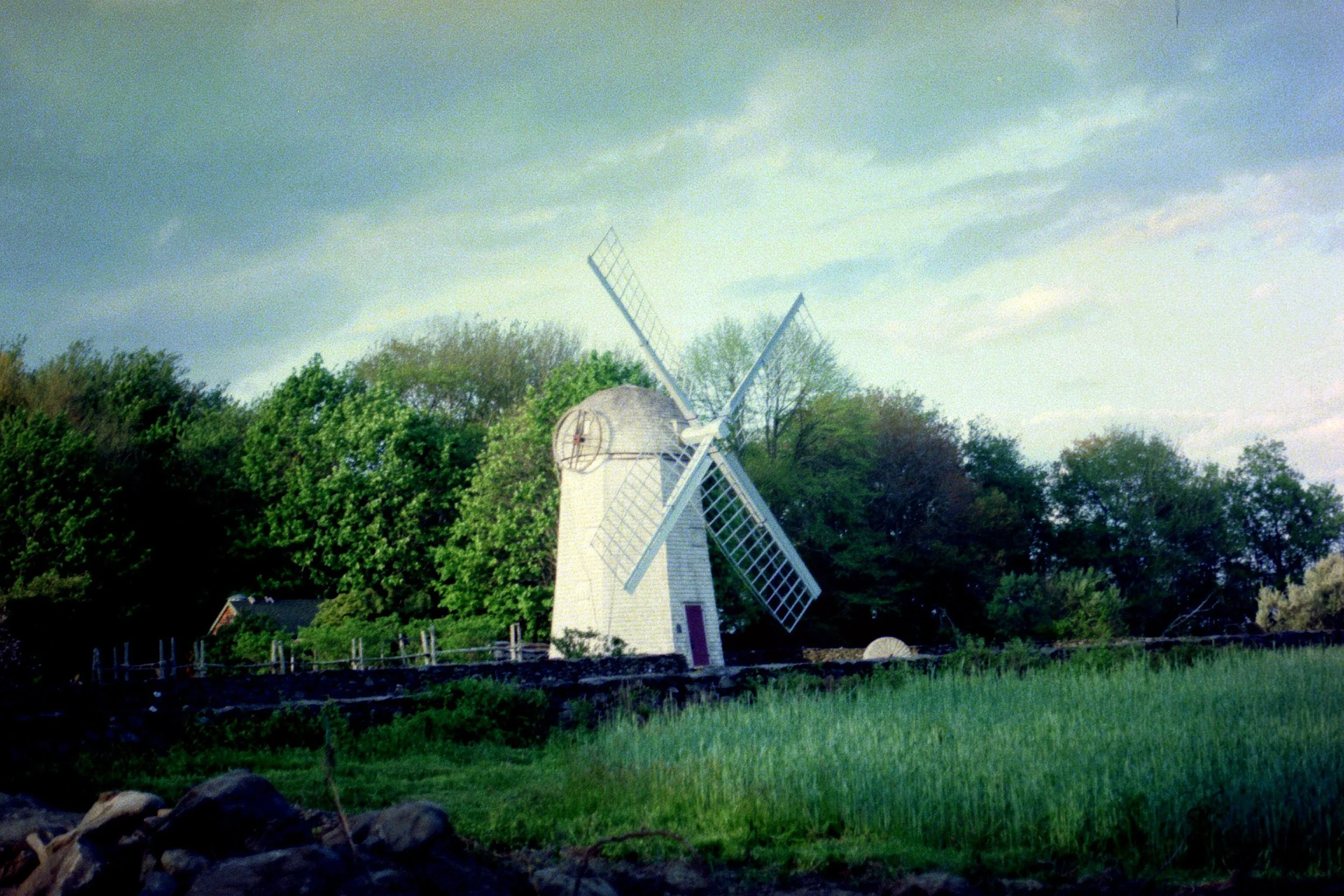 19 2.jpg