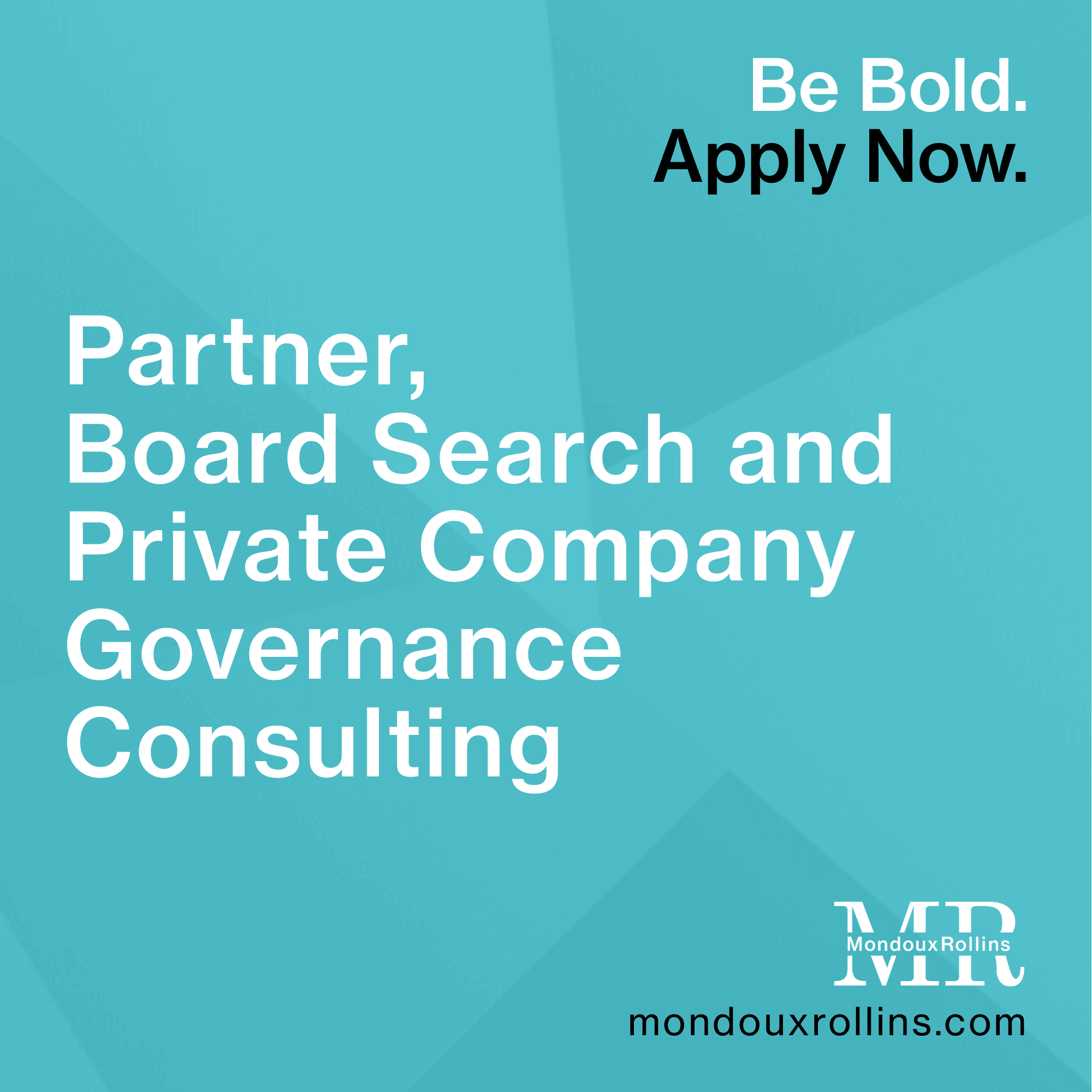 Partner, Board Search and Private Company Governance Consulting