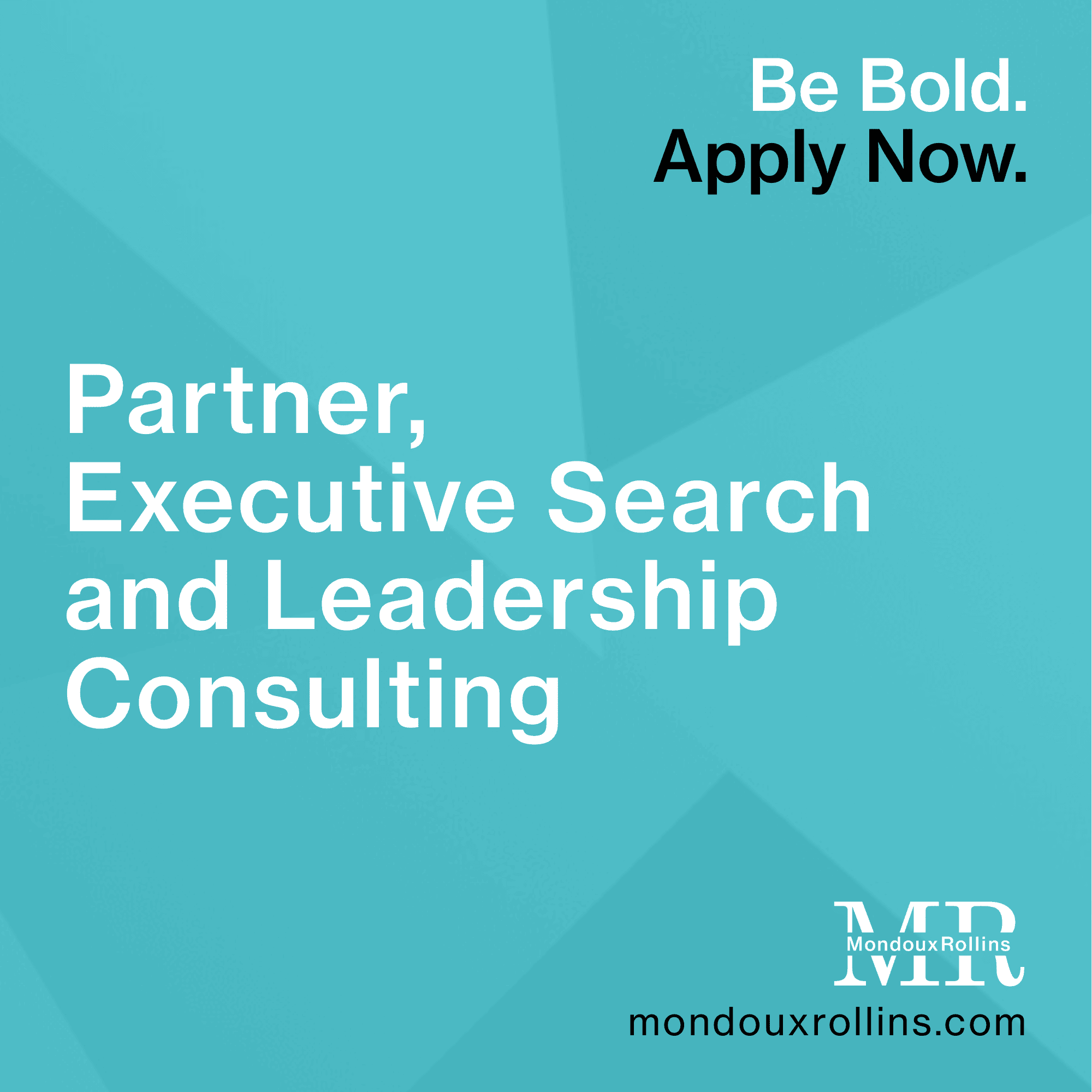 Partner, Executive Search and Leadership Consulting