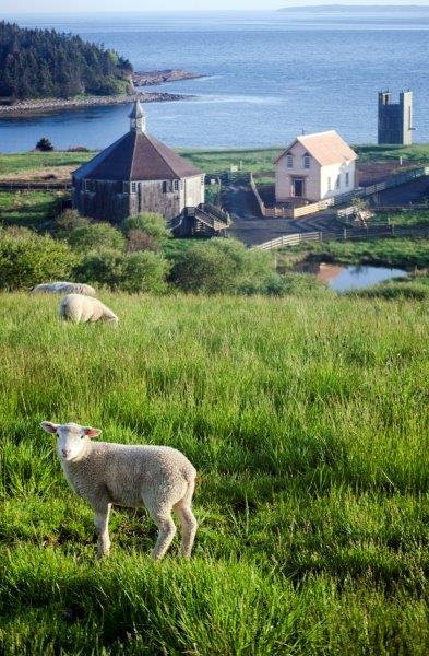 DSC_0228.jpg