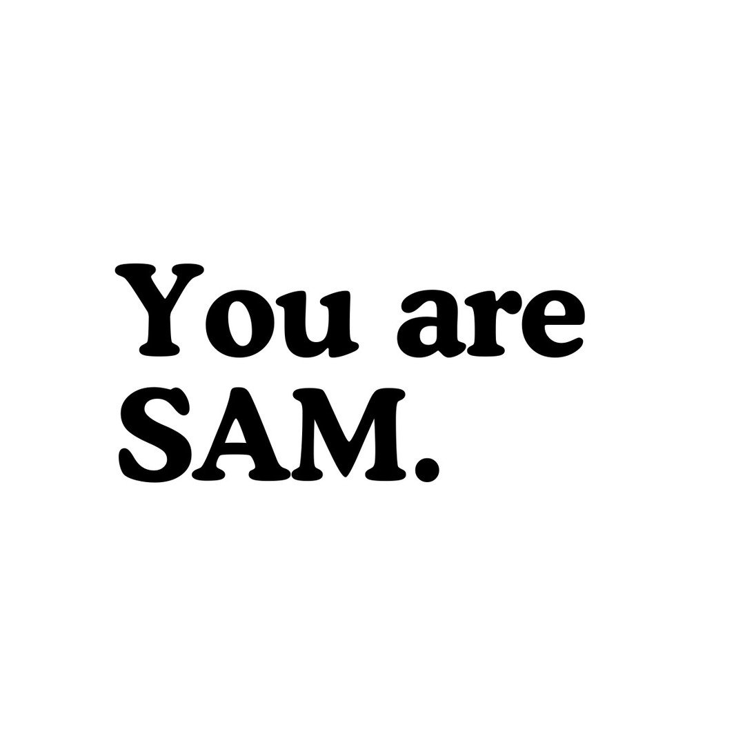 SAM = SAG-AFTRA Member.

You are SAM.

We are SAM.

SAM is a dedicated collective of SAG-AFTRA members who have one common goal: to enhance and improve the lives of every member of our union.

Let's work together to build a better future for all of u