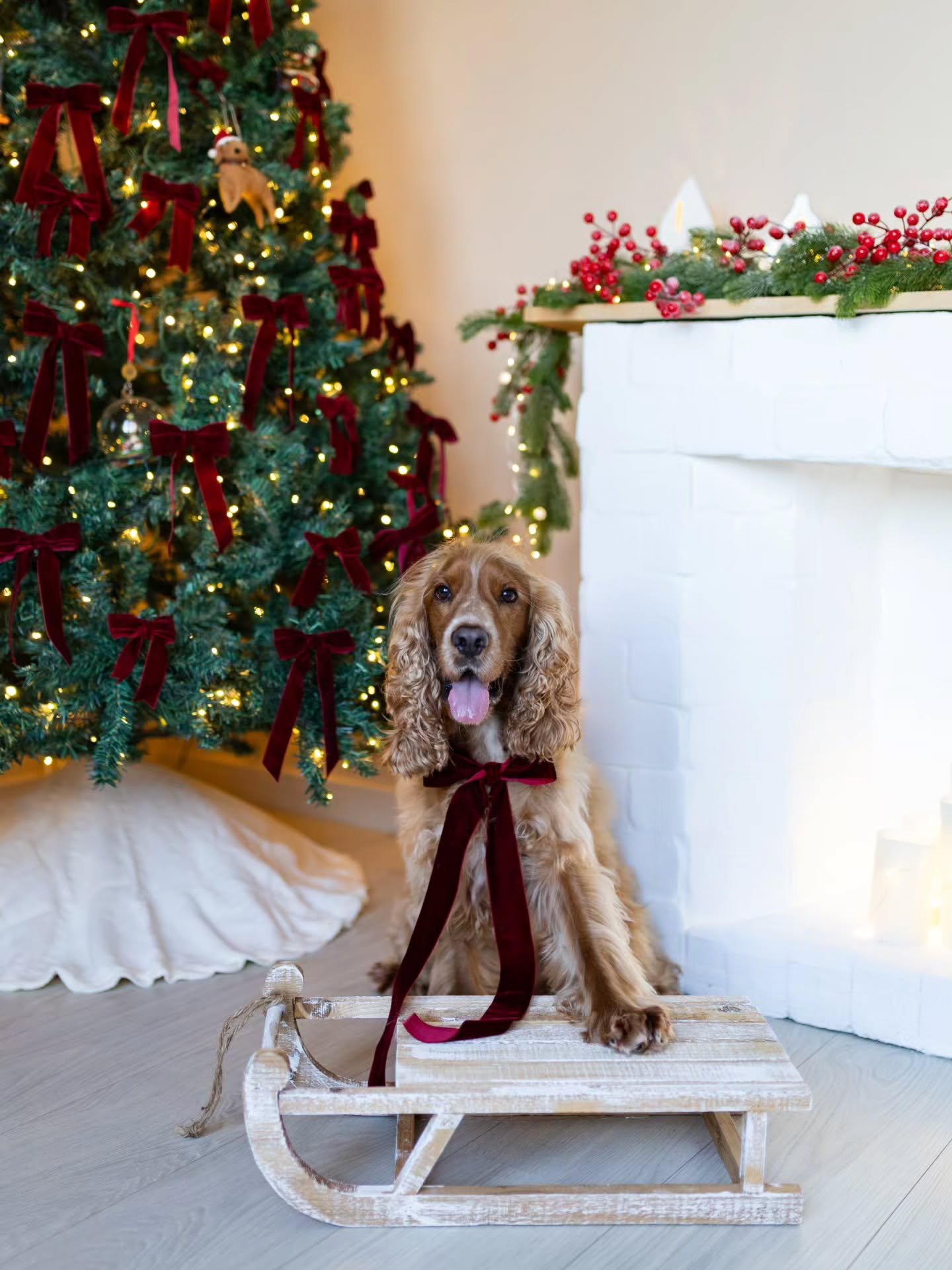 La magie de No&euml;l s&rsquo;invite &agrave; la maison entre petits n&oelig;uds rouges, lumi&egrave;res et doux moments ✨🎄

Les places pour les mini-s&eacute;ances de No&euml;l sont limit&eacute;es &mdash; r&eacute;servez la v&ocirc;tre d&egrave;s 