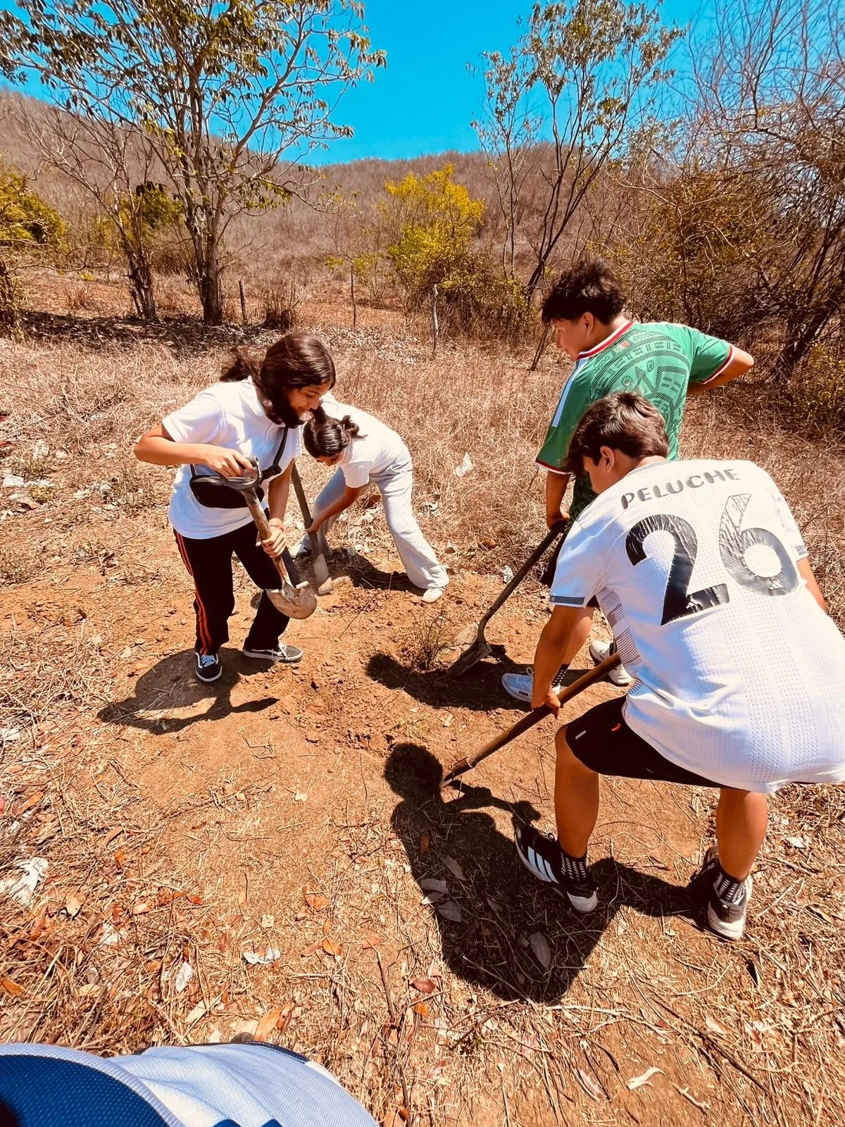 From Trash to Treasure: How a Schoolyard Compost Pile is Changing the Story of Waste